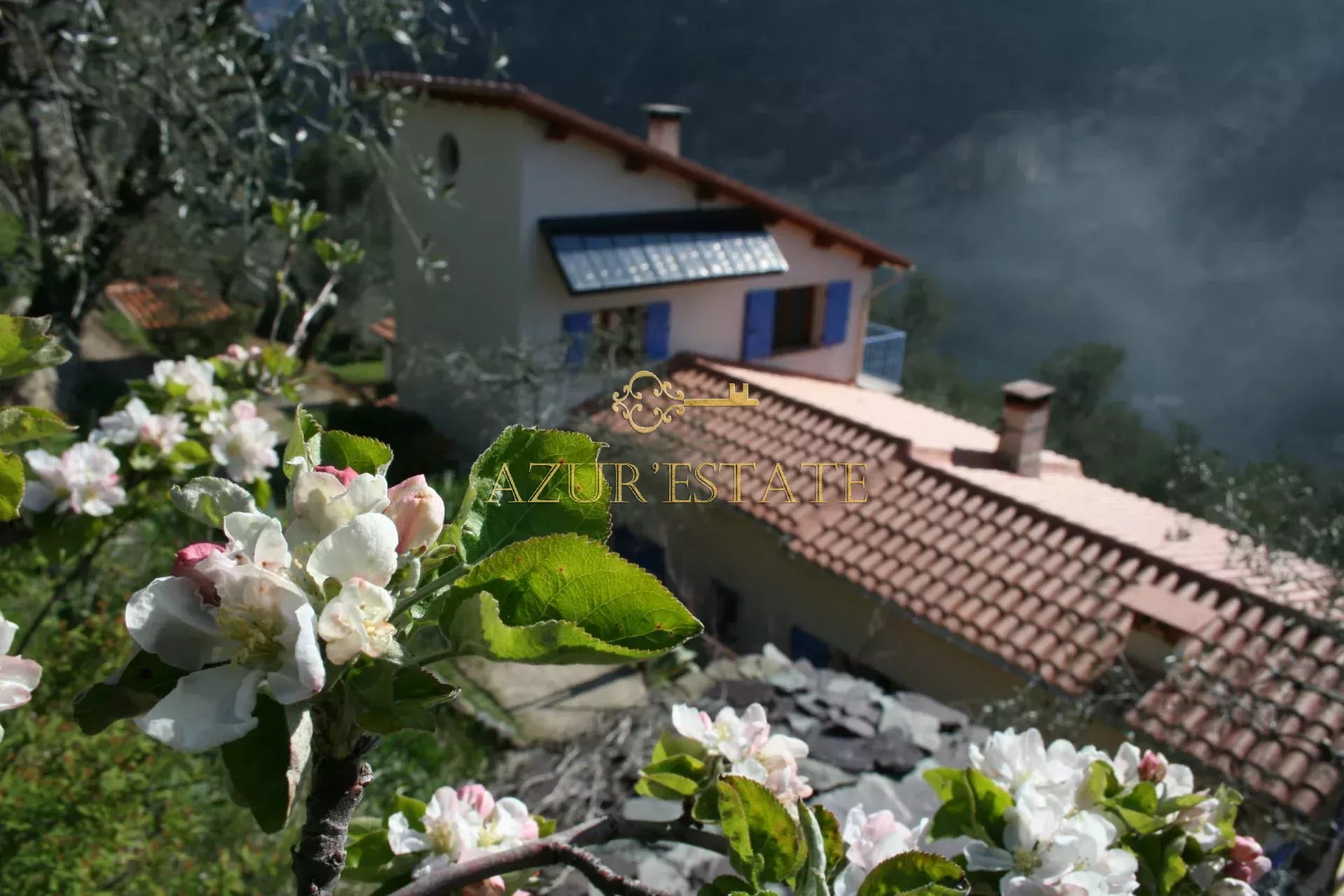 Agence immobilière de Sas Azur'Estate