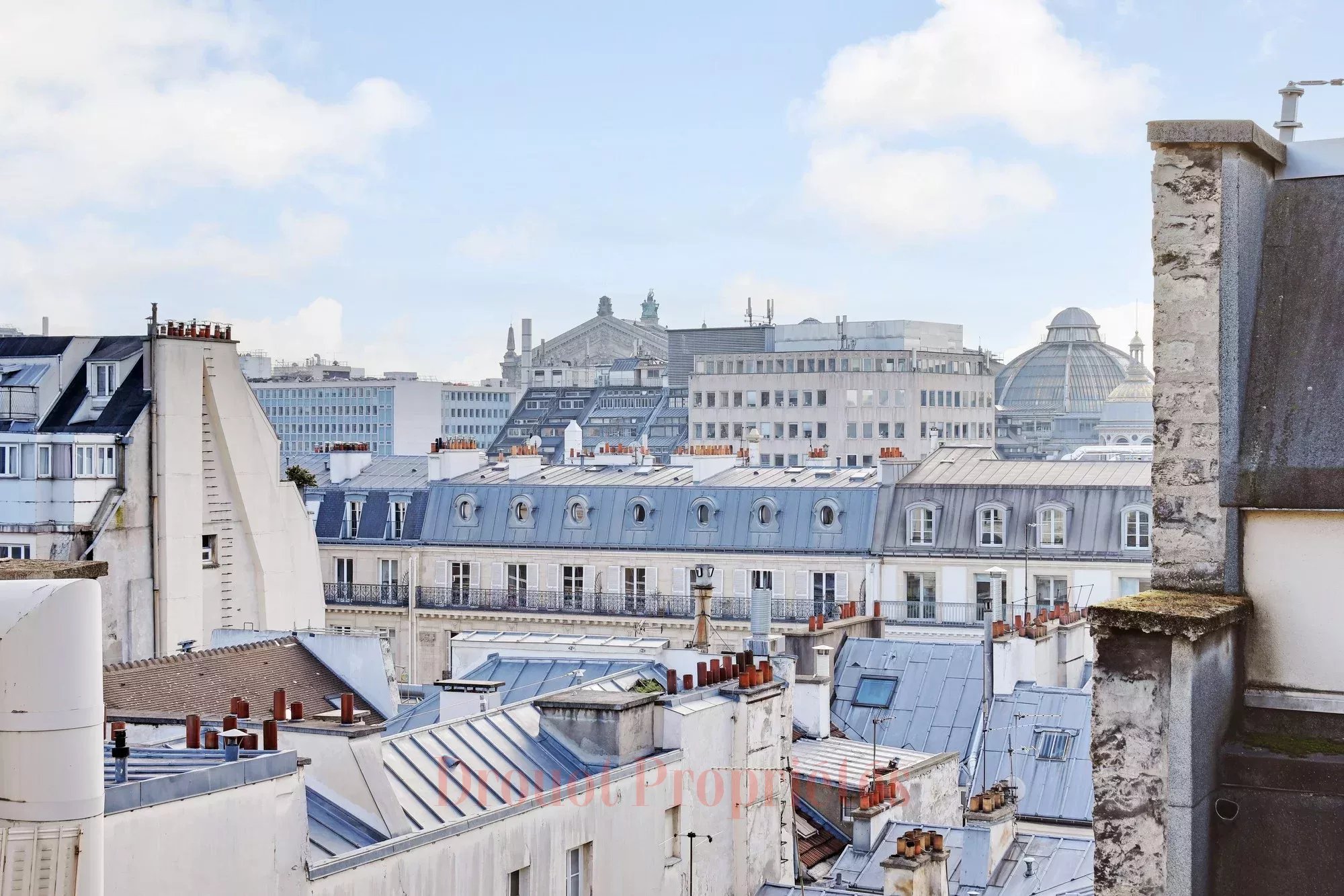 Agence immobilière de Drouot Immobilier