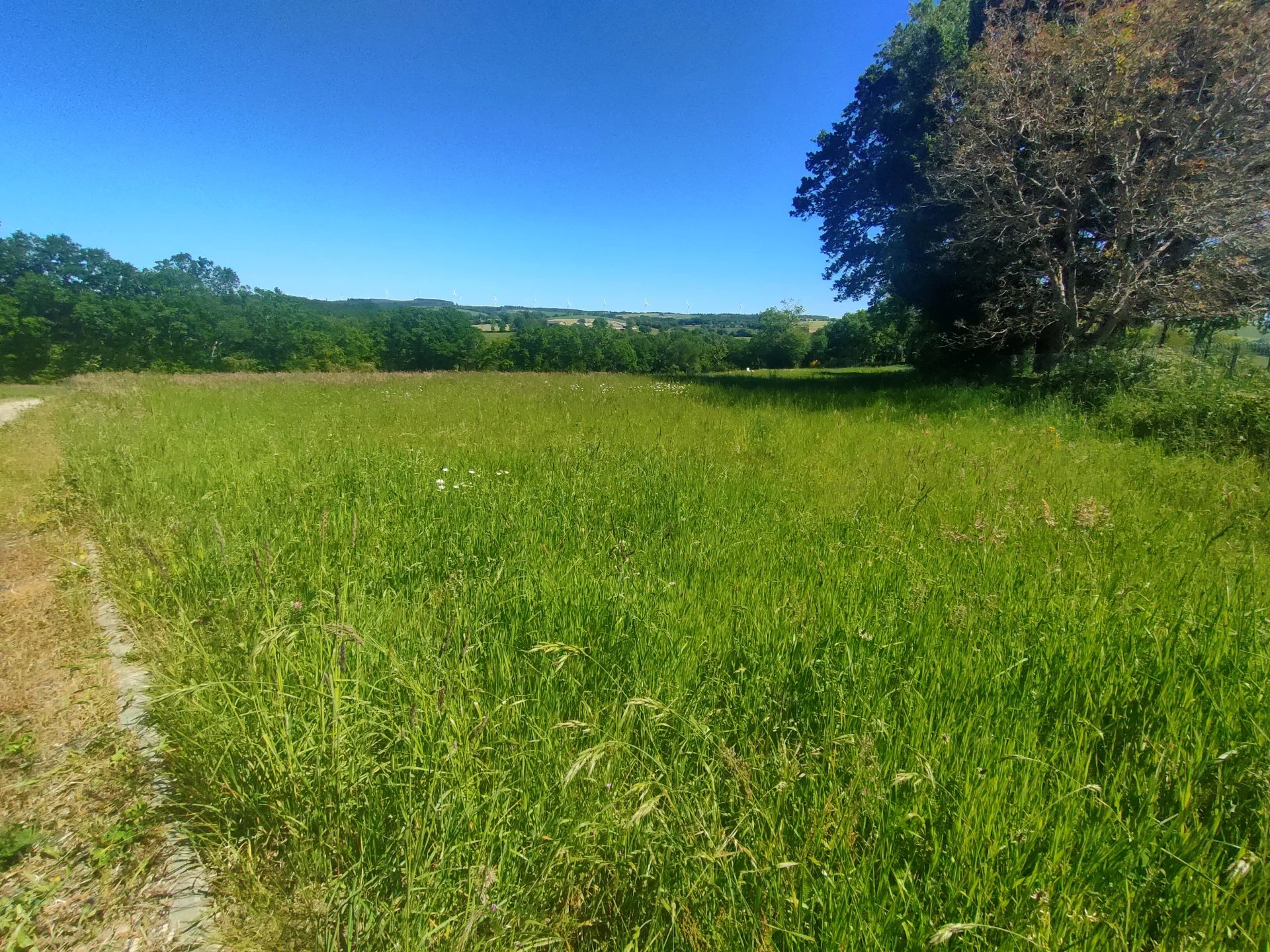 Vente Terrain constructible Salles-Curan