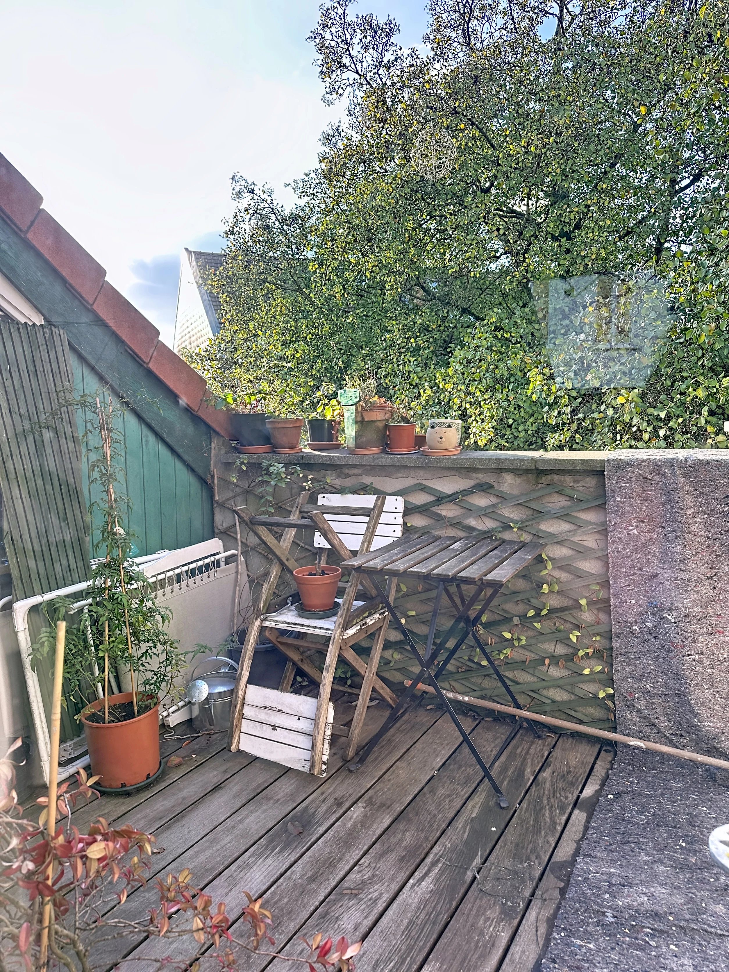 Charming small investment property.