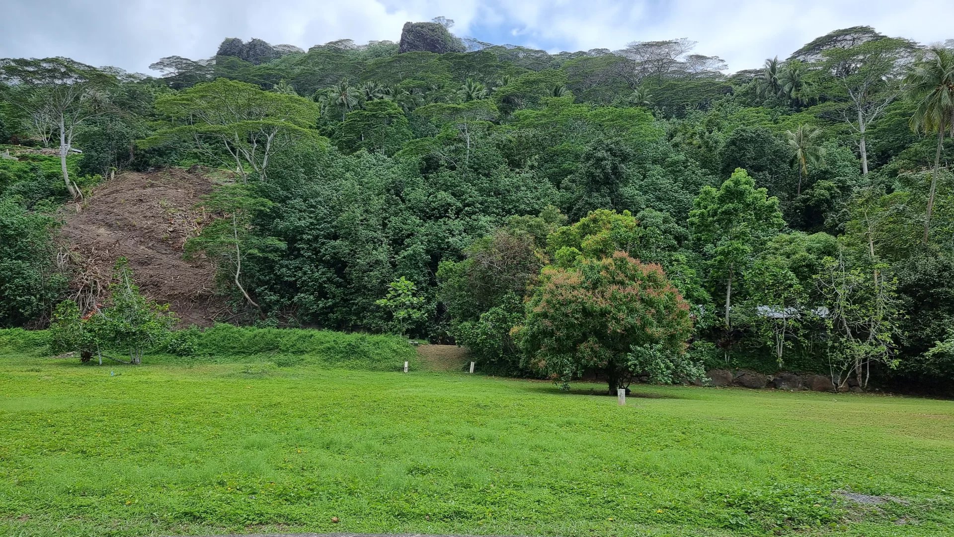 Sale Plot of land Moorea-Maiao