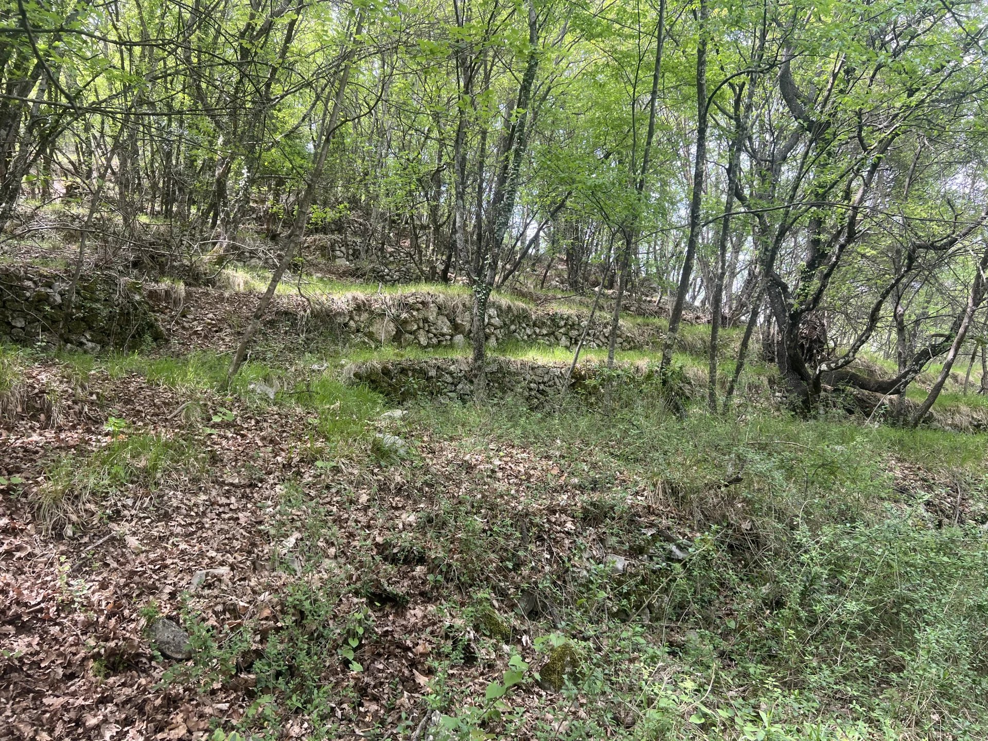 Vendita Terreno non edificabile Sospello