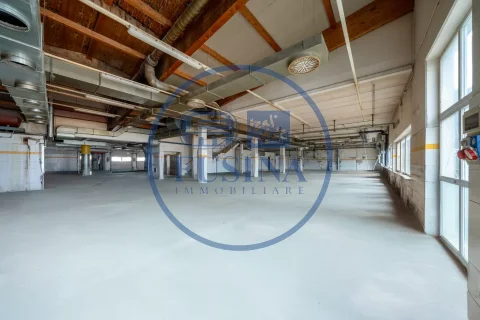 Magazzino---Capannone-in-vendita---Nalles-3