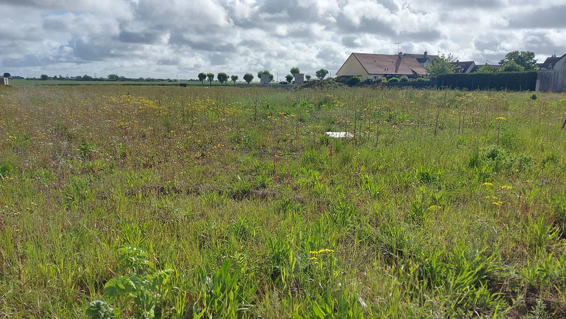 Vente Terrain Saint-Sulpice-de-Pommeray