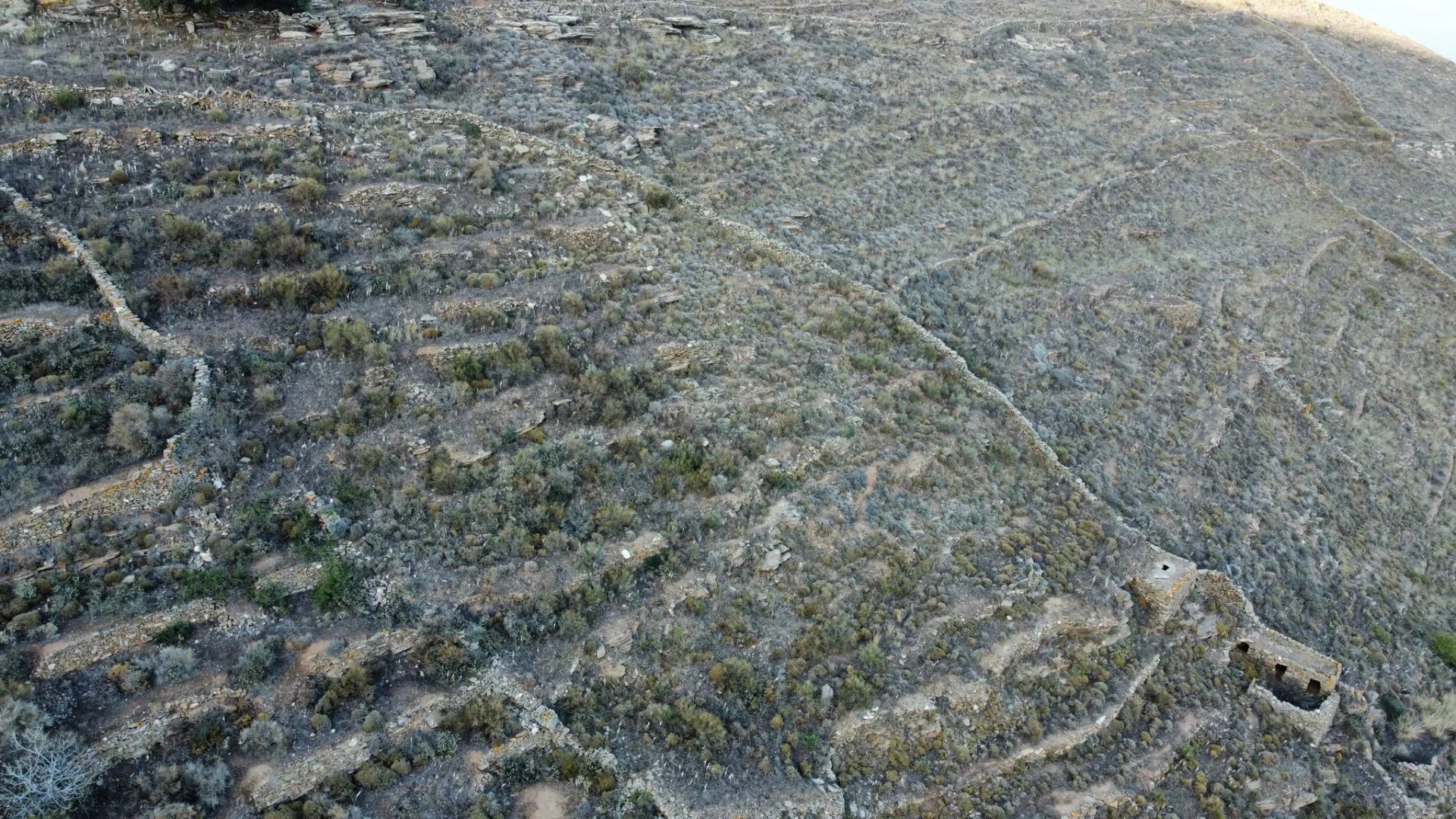 Εικόνα ιδιοκτησίας 8