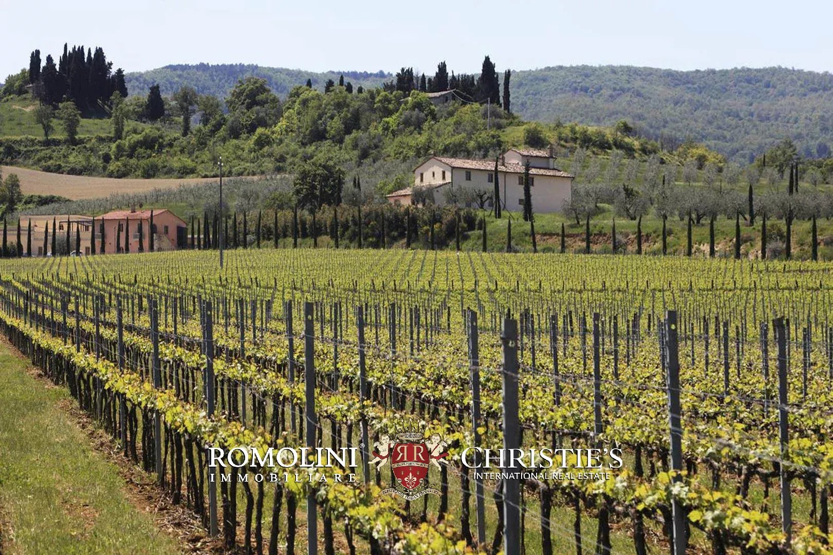 15 Bedroom Vineyard's Image 8