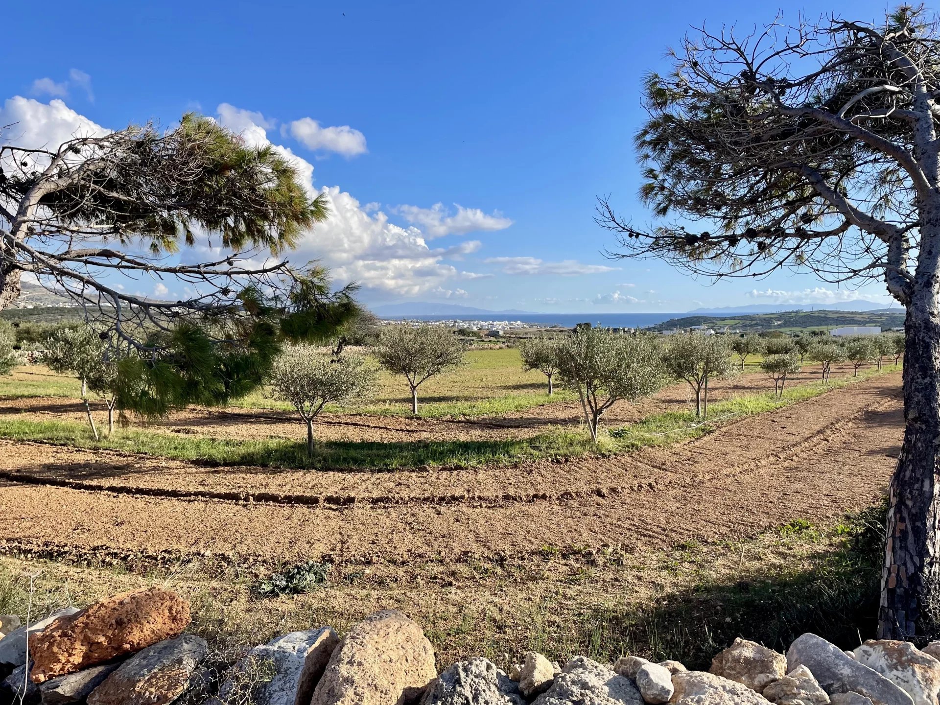 Εικόνα ιδιοκτησίας 7