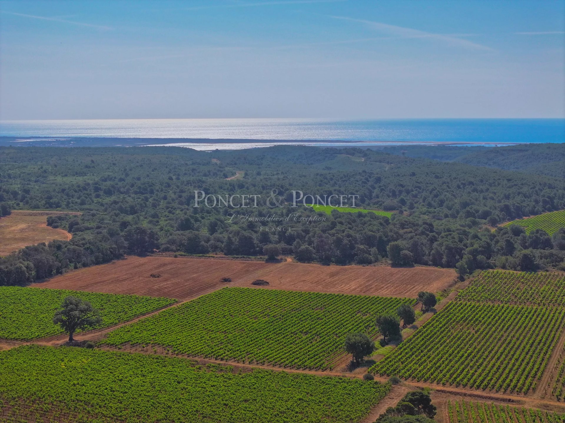 Property Slider Image