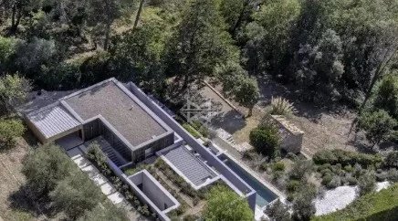 Modern Villa Exterior