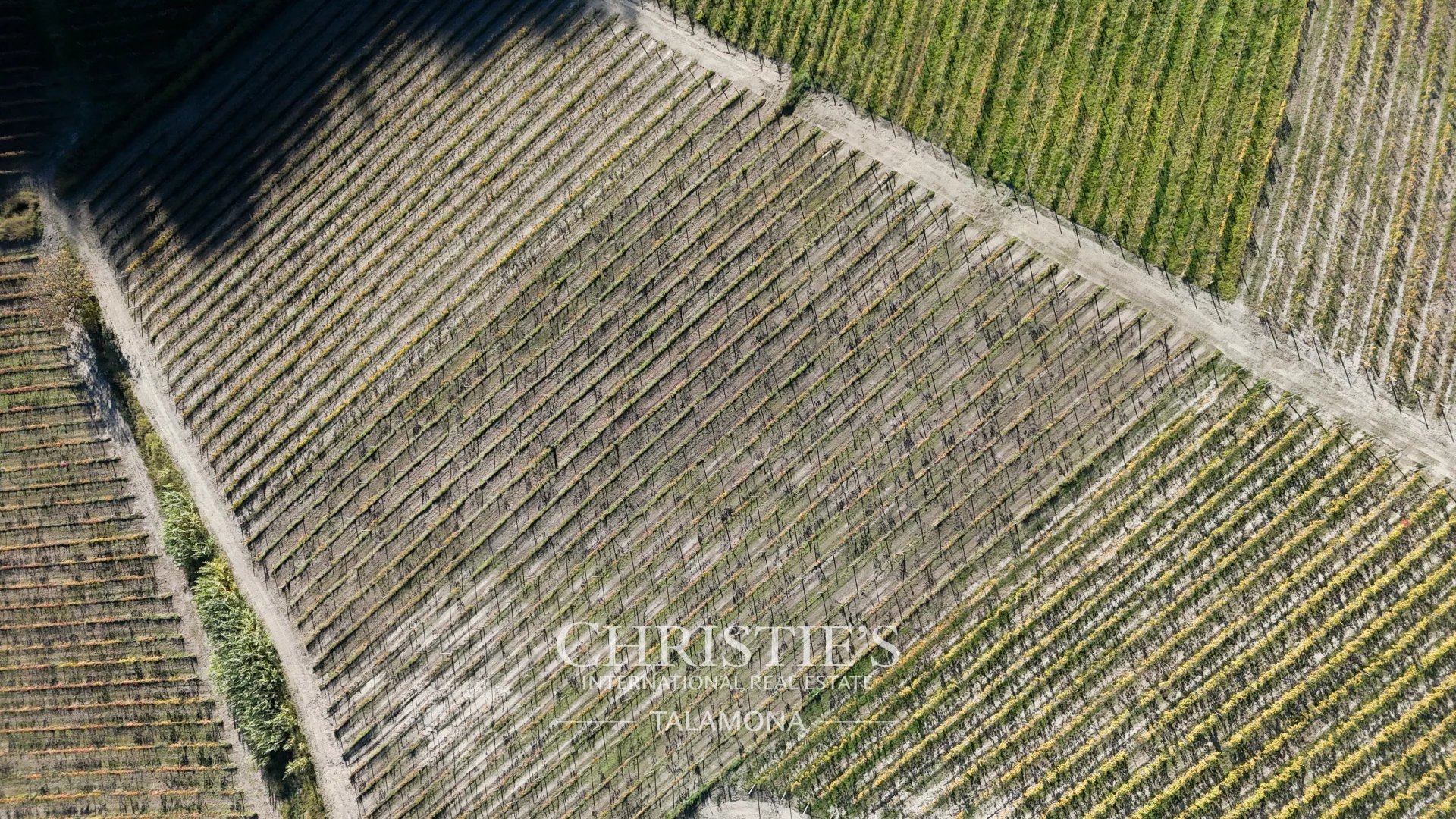 Farm/Ranch/Plantation's Image 7