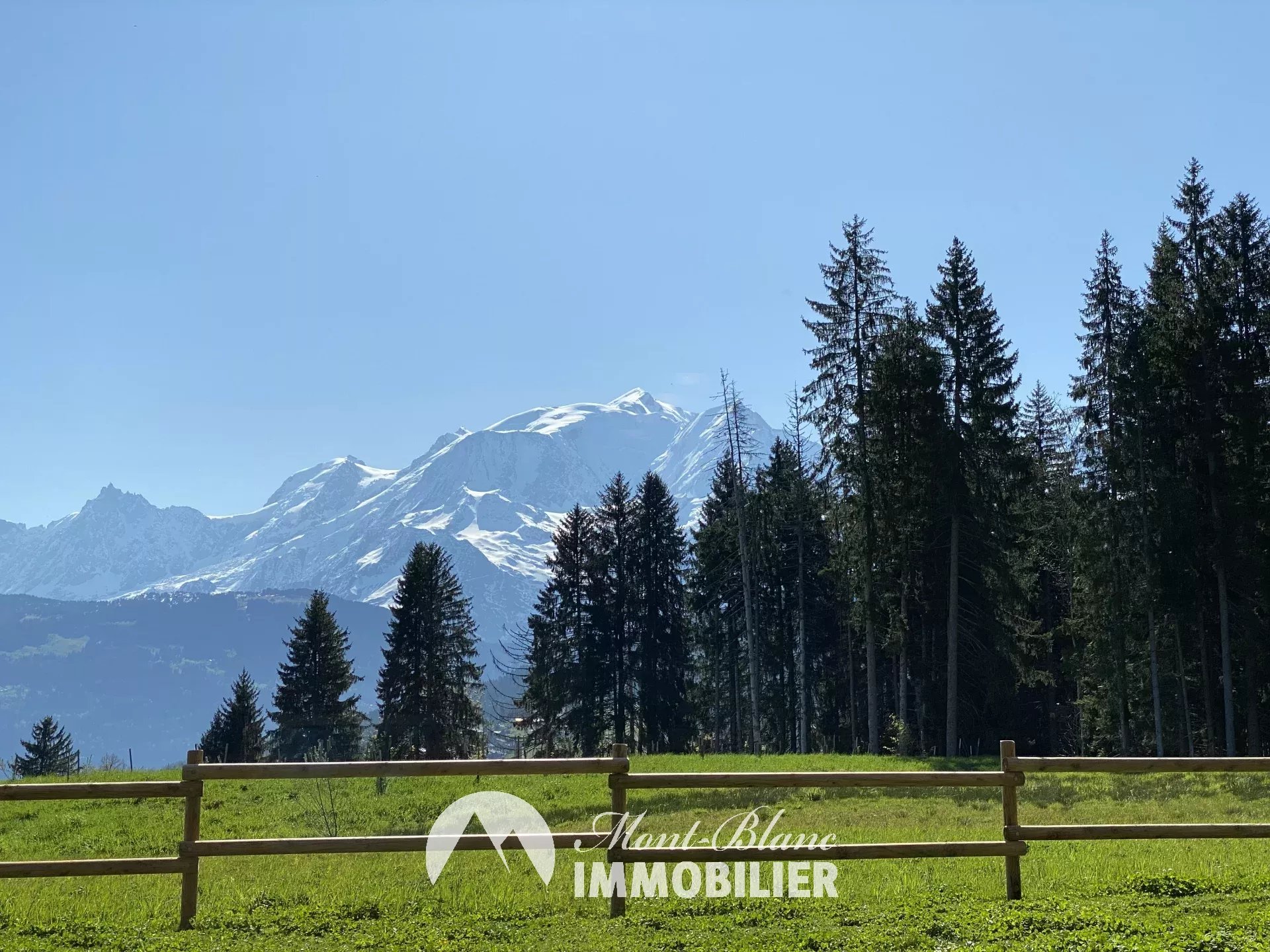 Agence immobilière de SAS MBI