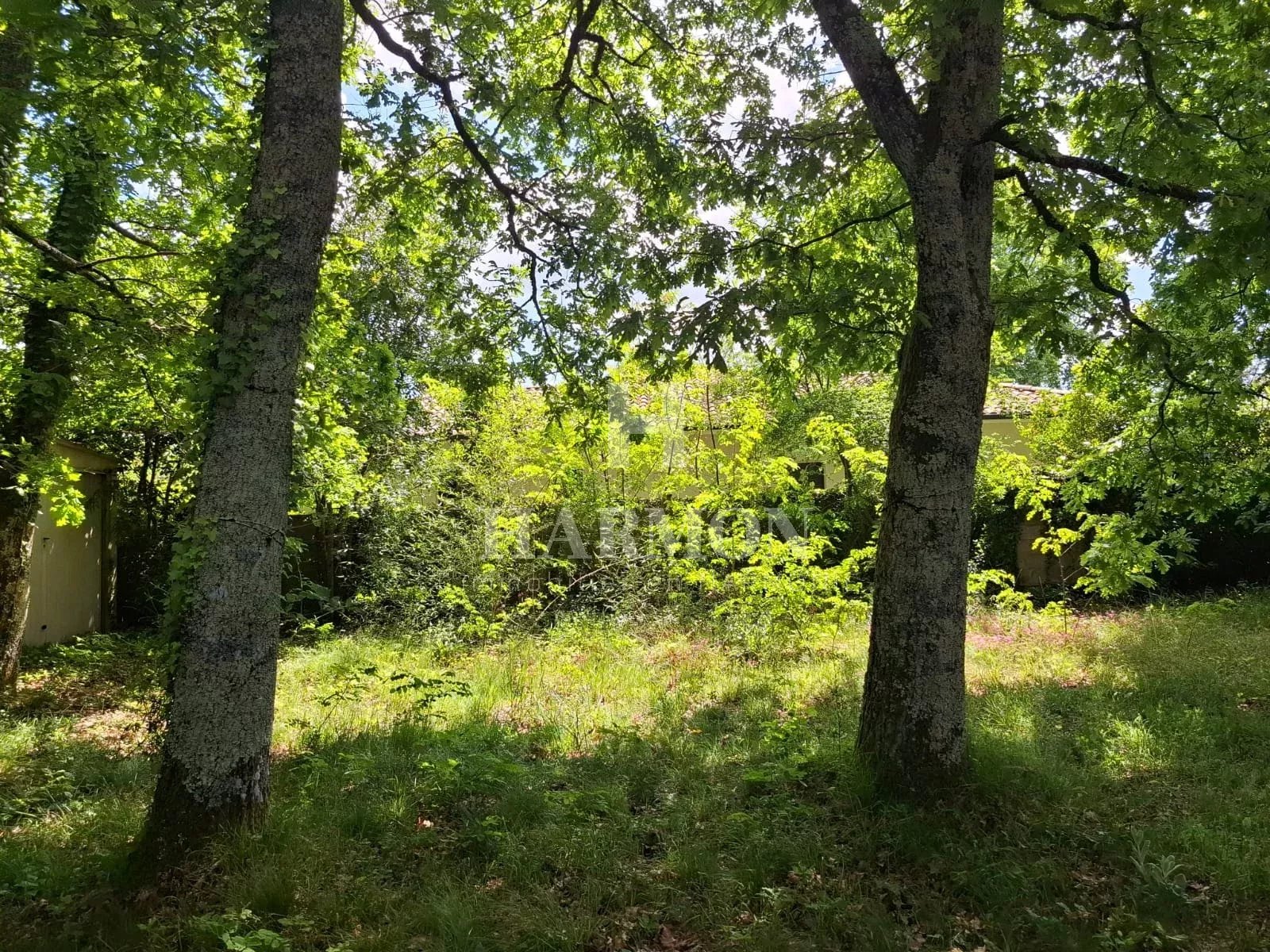 Harmon à vendre – Terrain constructible 1 300 m² au calme, Gujan-Mestras – 3e ligne route des Lacs - Photo 4