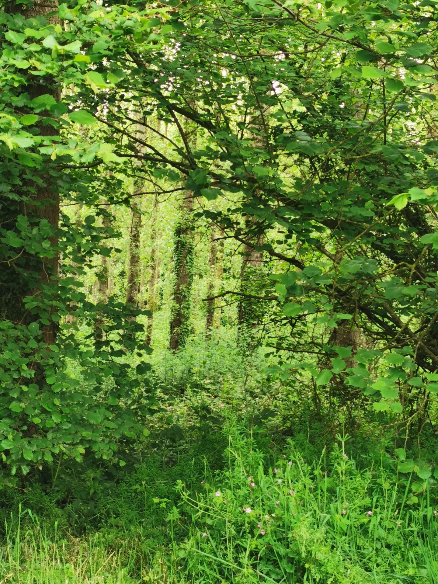 Troisième photo