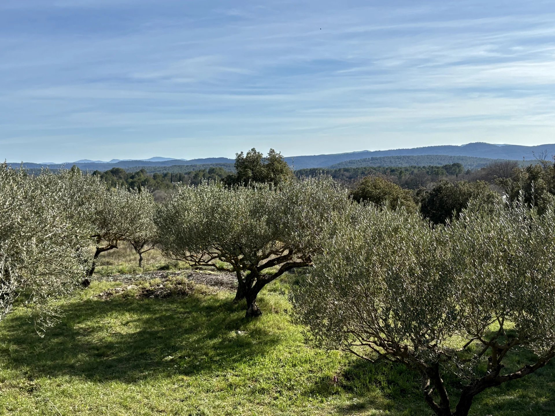 Sale Building land Cotignac