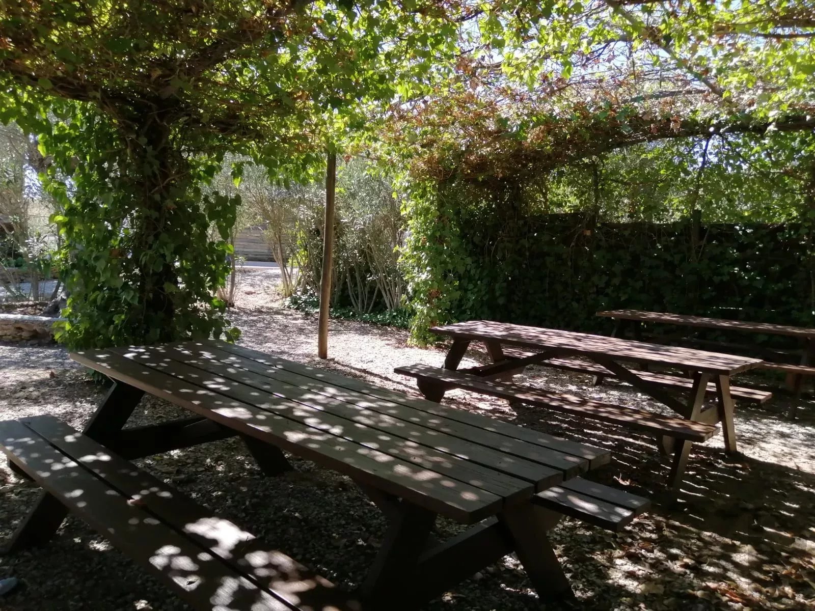 Herdade Cativante in Alentejo: A Tourist Investment with Immeasurable Potential 🌿✨ 86362095 image 19