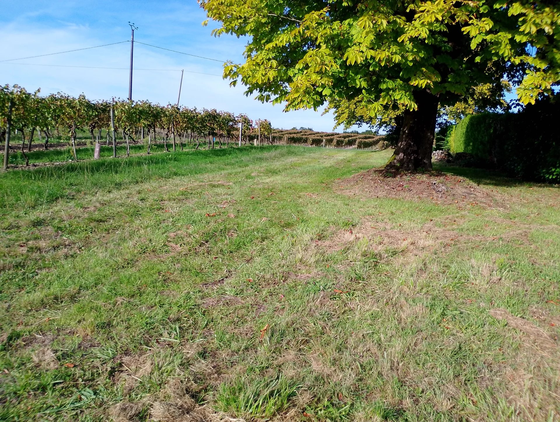 House in Jonzac - Image 2