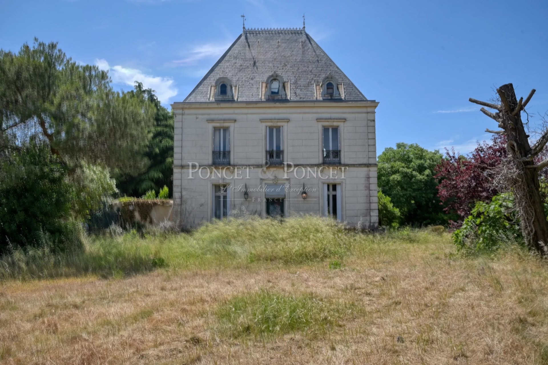 17 Bedroom Vineyard's Image 5