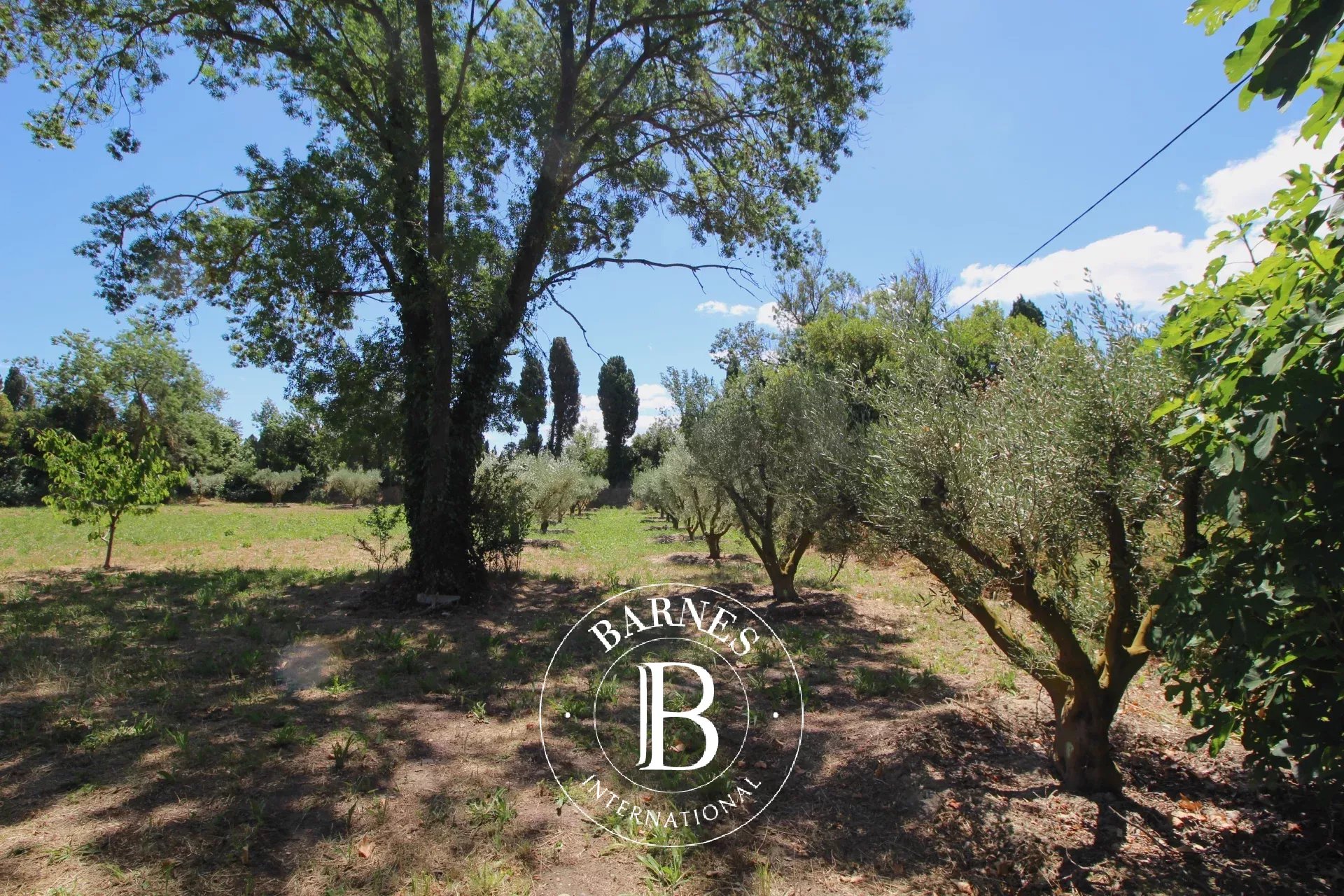 Maison Saint-Rémy-de-Provence  -  ref 87069235 (picture 3)