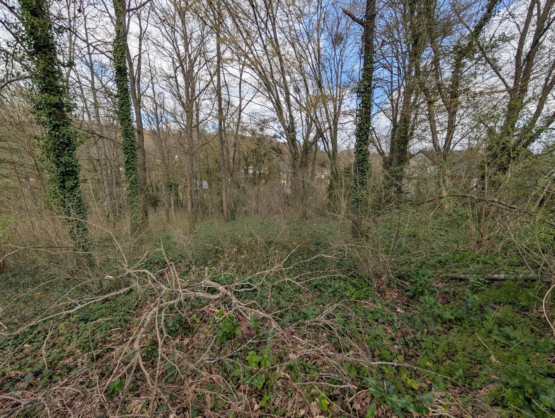 Agence immobilière de ETUDE IMMOBILIÈRE PHILIPPE LAMBERT