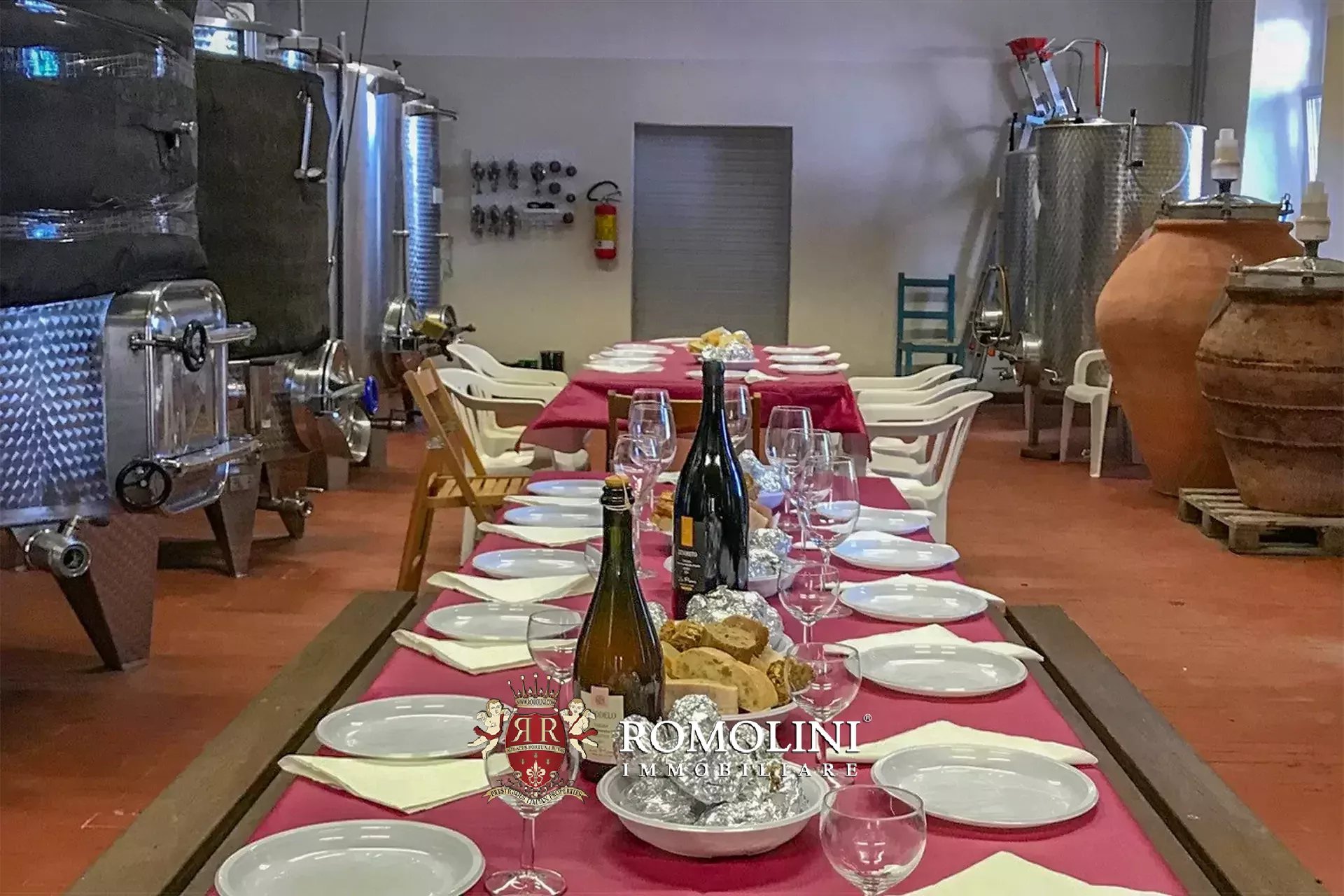Vineyard's Image 28