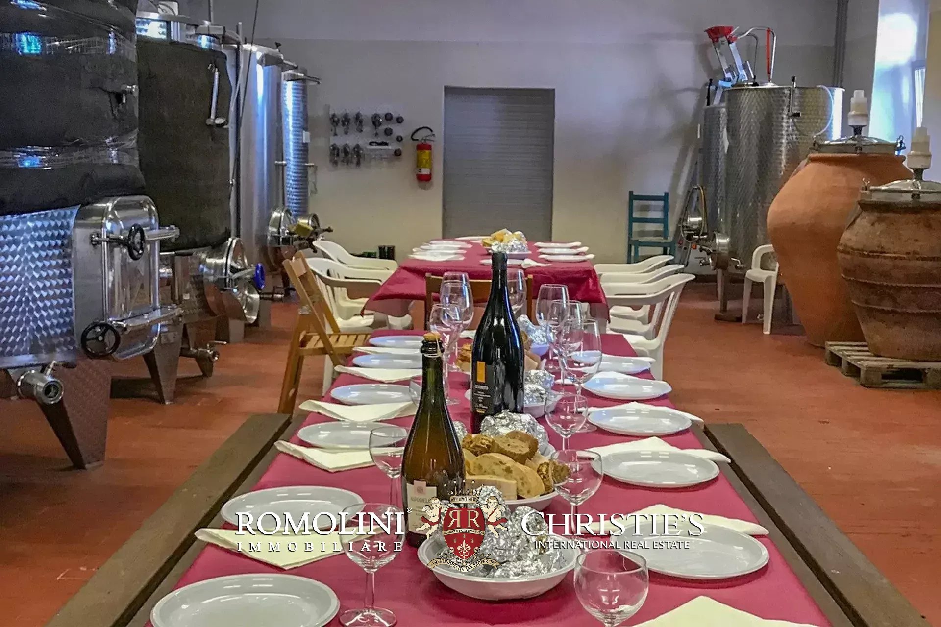 Vineyard's Image 28