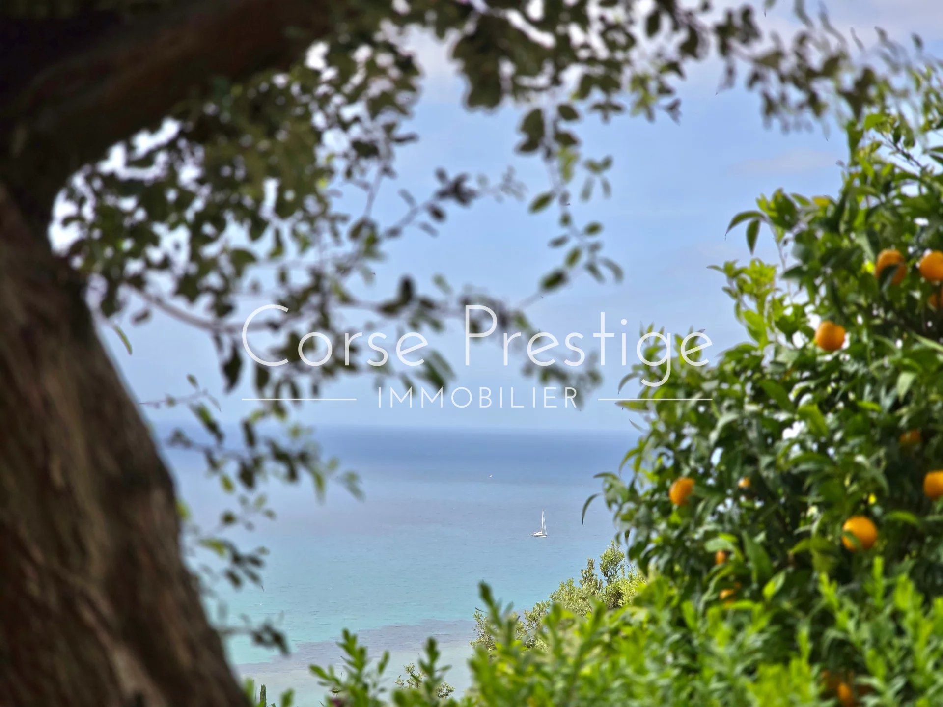 villa with pool and sea-views - saint florent - north corsica image1