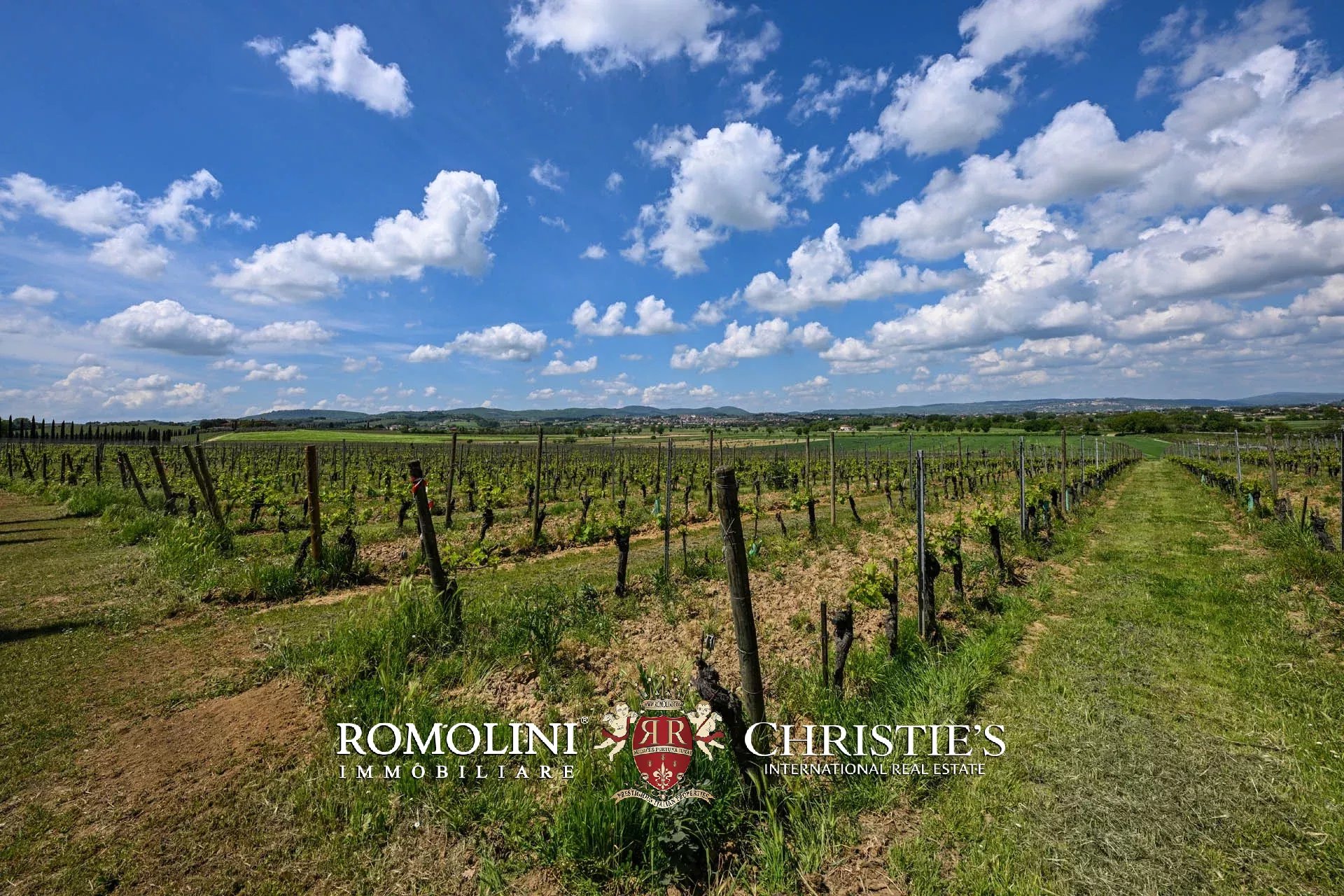 34 Bedroom Vineyard's Image 19