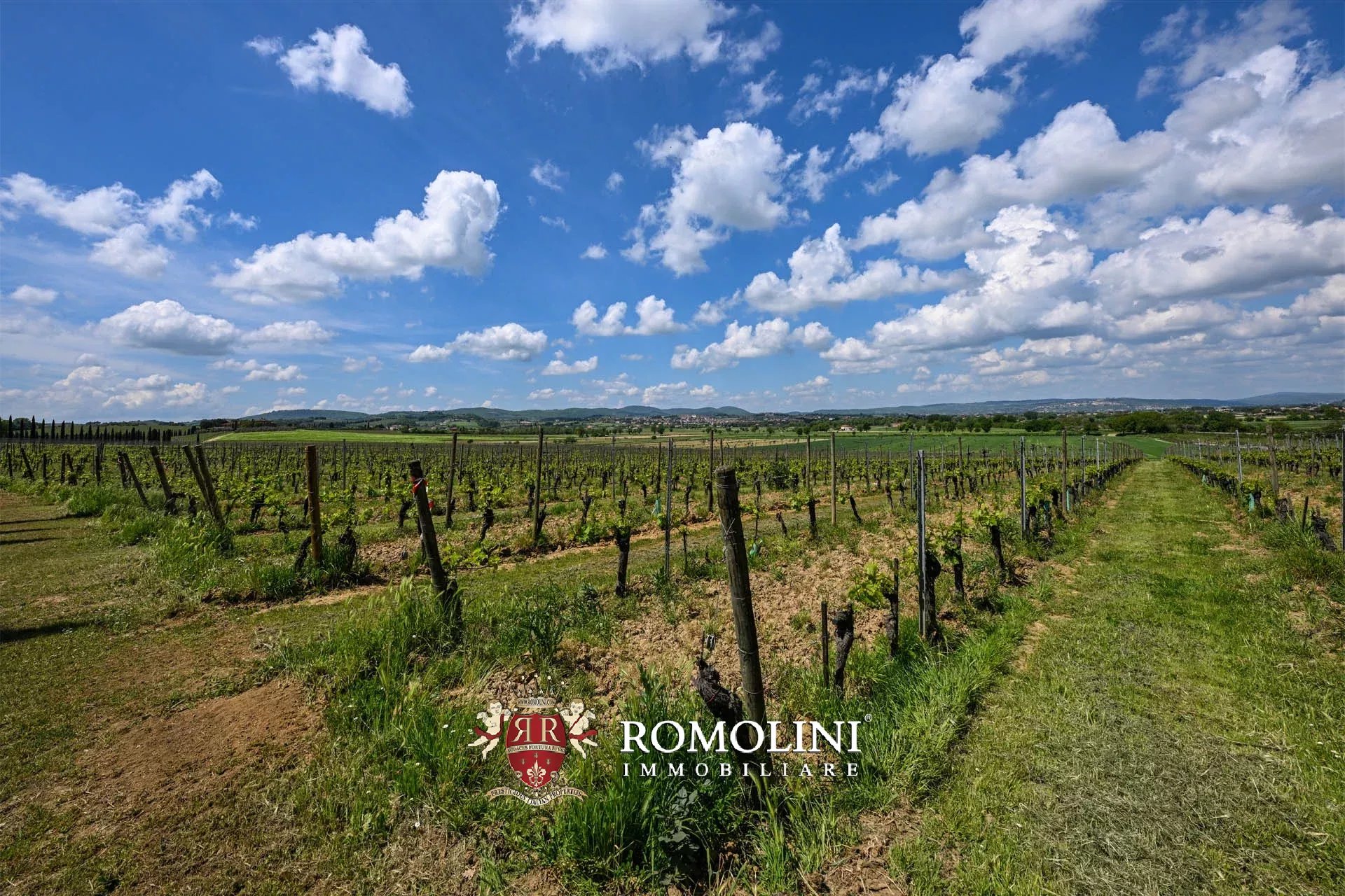 34 Bedroom Vineyard's Image 19