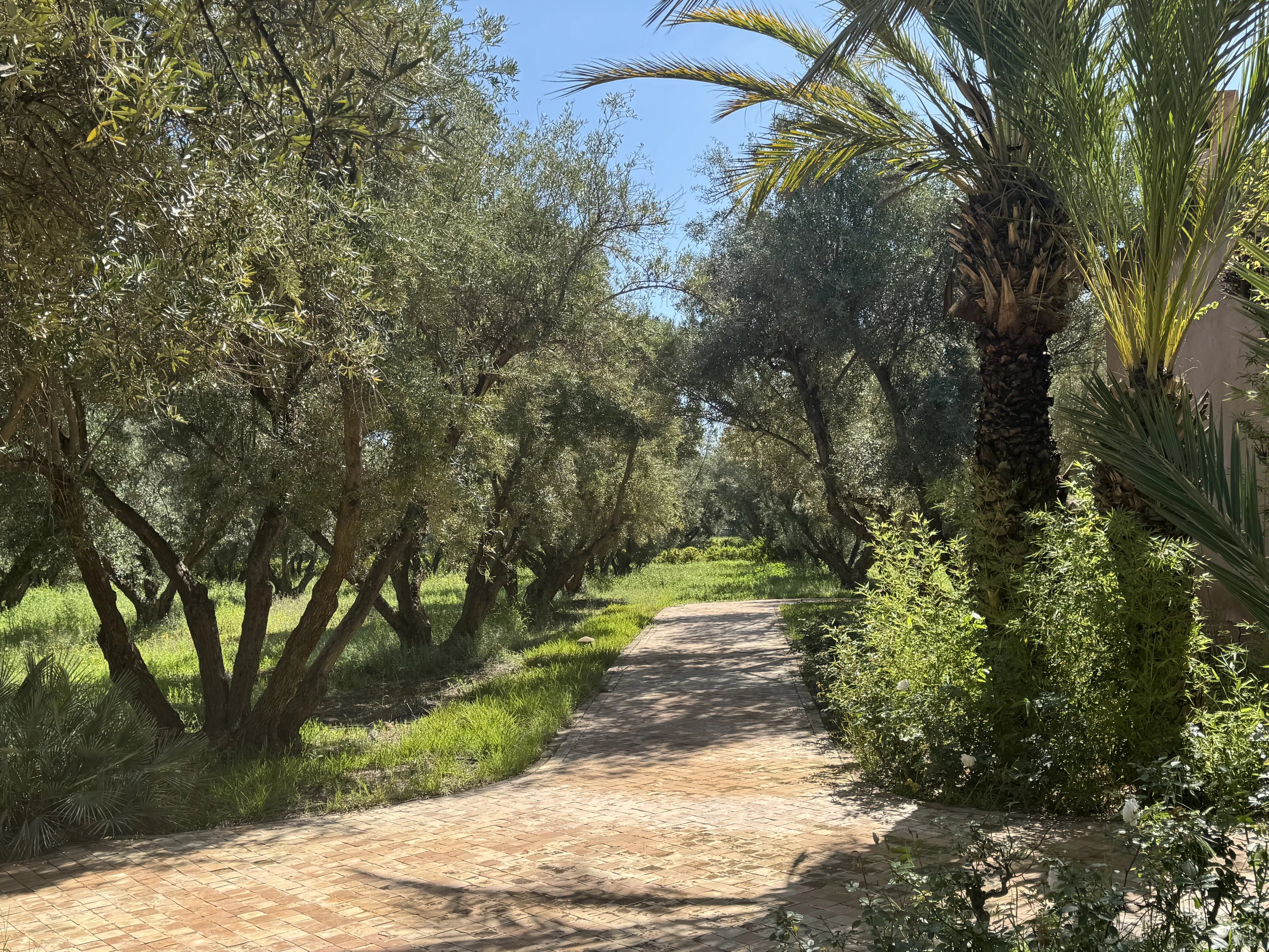 Exceptional 5 hectare estate for sale in Marrakech