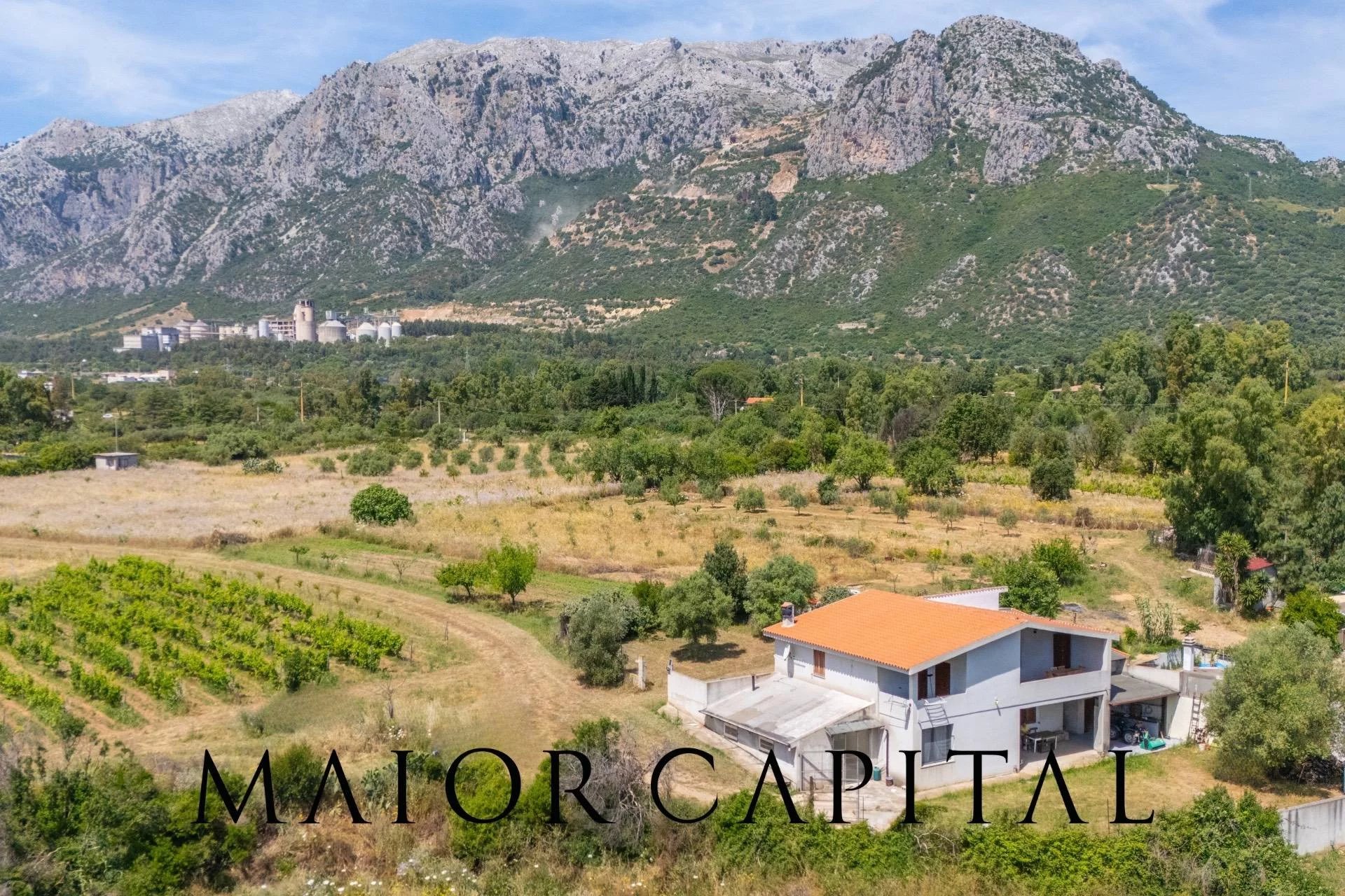 Siniscola | Villa con vigneto e frutteto ai piedi del Monte Albo