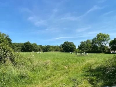 Vente Terrain Le Breuil-en-Auge