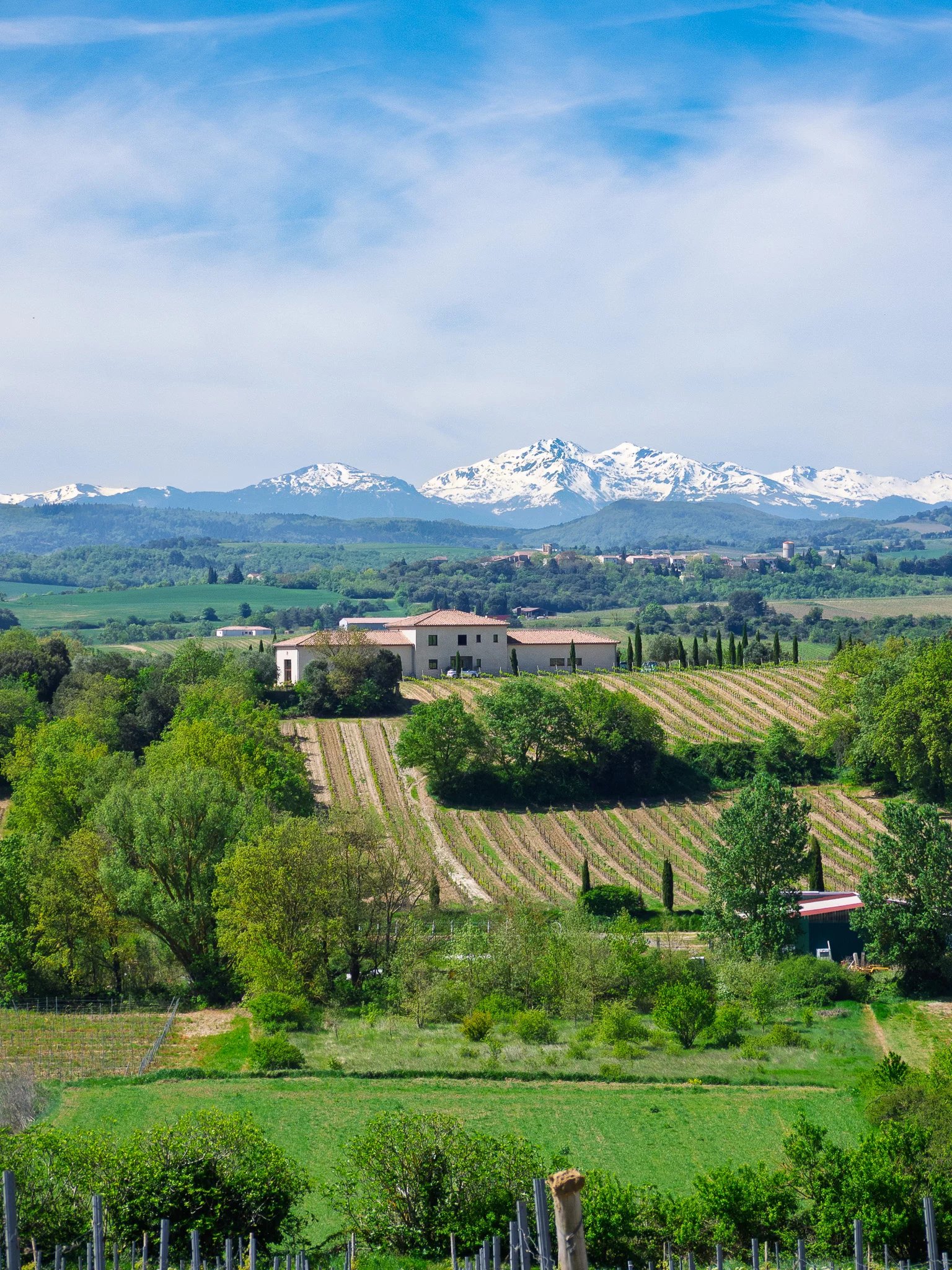 Wijngaard te koop Limoux, Aude