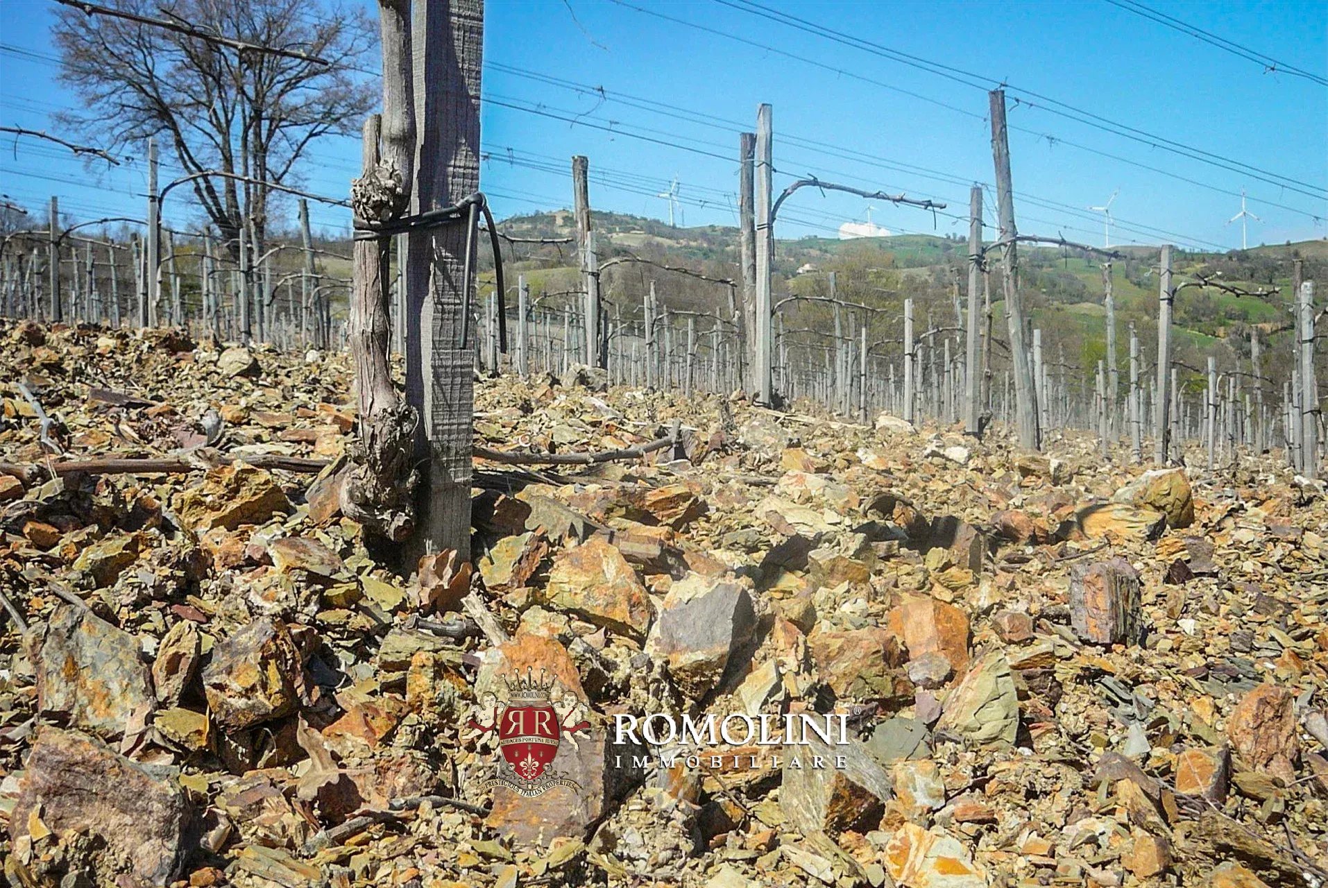 6 Bedroom Vineyard's Image 19