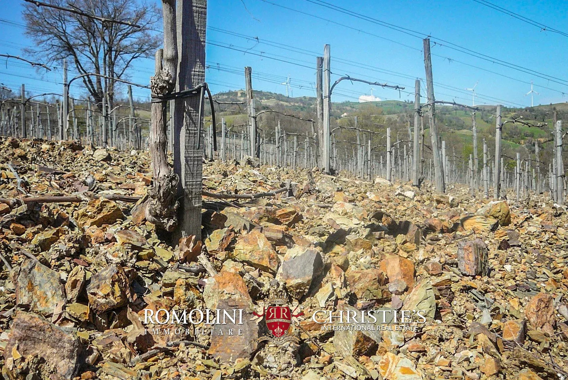 6 Bedroom Vineyard's Image 19