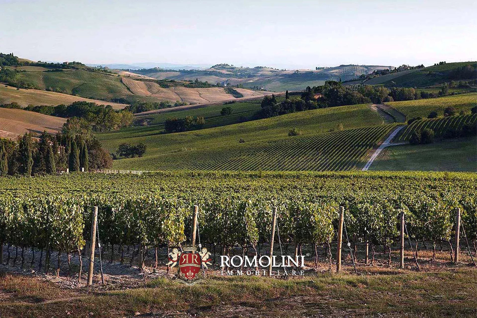 7 Bedroom Vineyard's Image 20