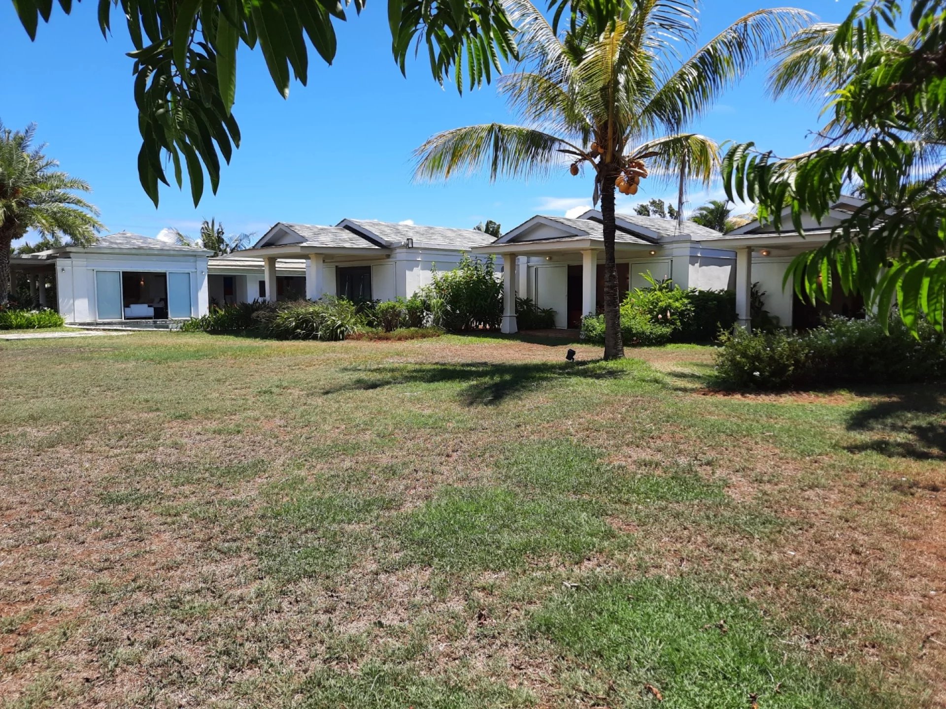 Ev Calodyne - picture 12