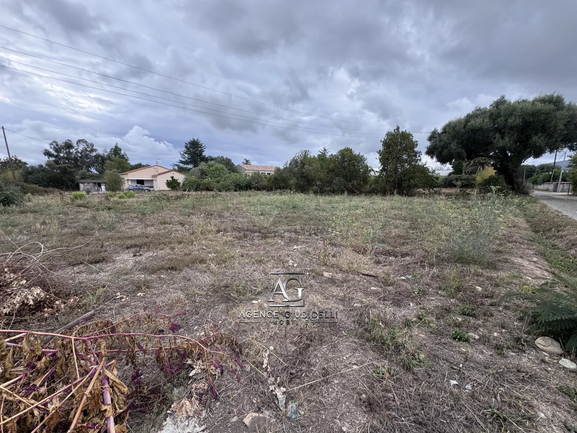 Vente Terrain Prunelli-di-Fiumorbo
