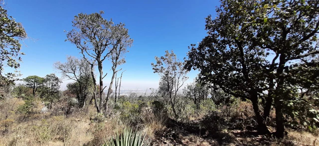 Mexique - Mexico - Arenal del Xitle, Cerro del Ajusco - Terrain pour construction urbaine - 19 423,60 m2