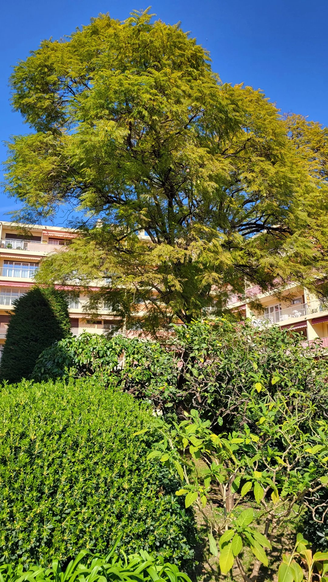Sale Apartment Roquebrune-Cap-Martin