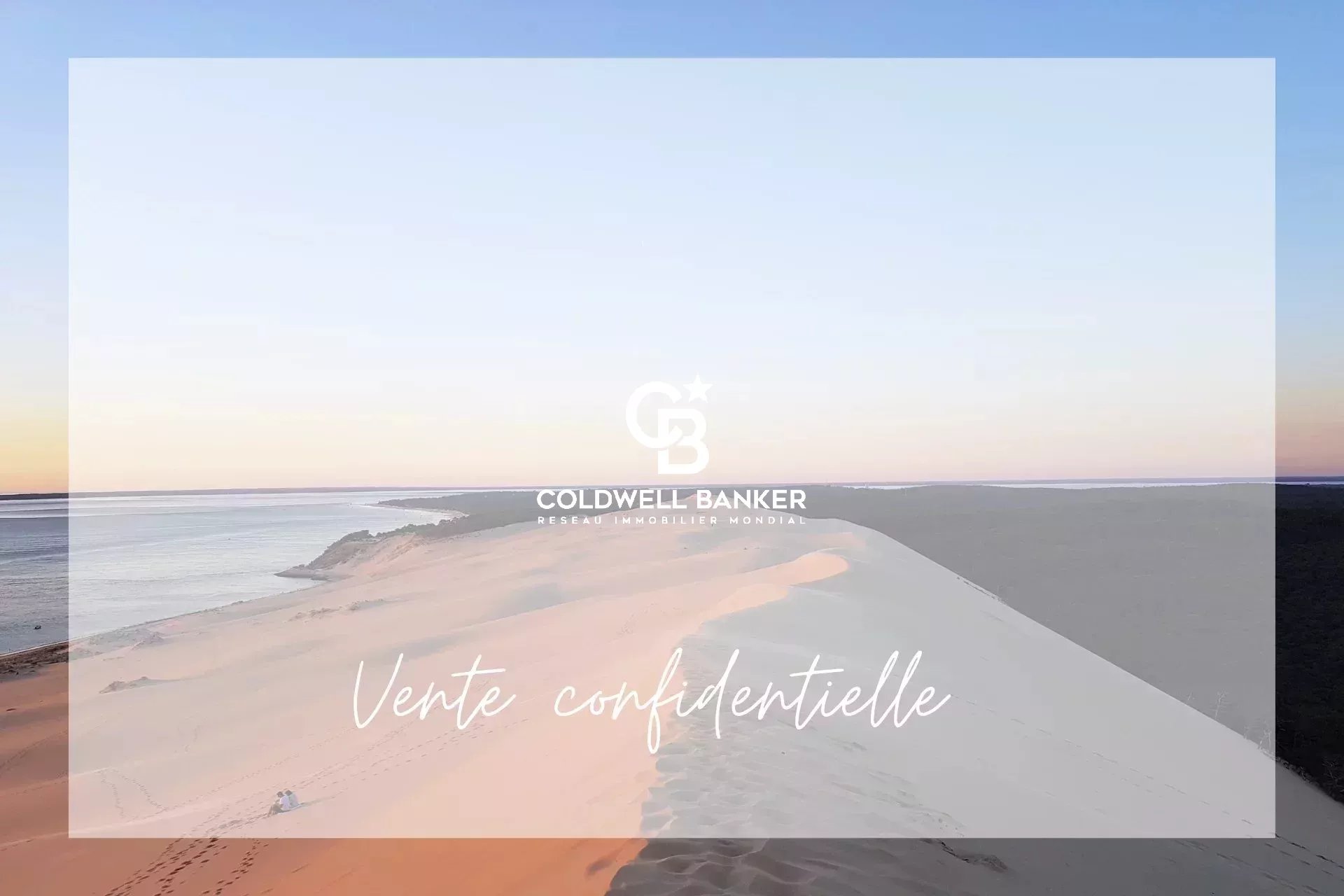 Agence immobilière de Silver Coast Int. Realty