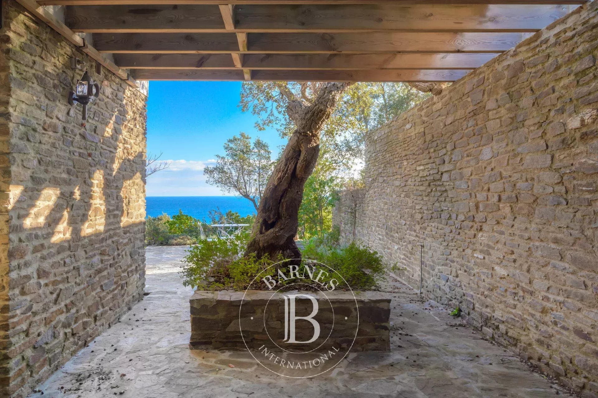 Ev Bormes-les-Mimosas - picture 5