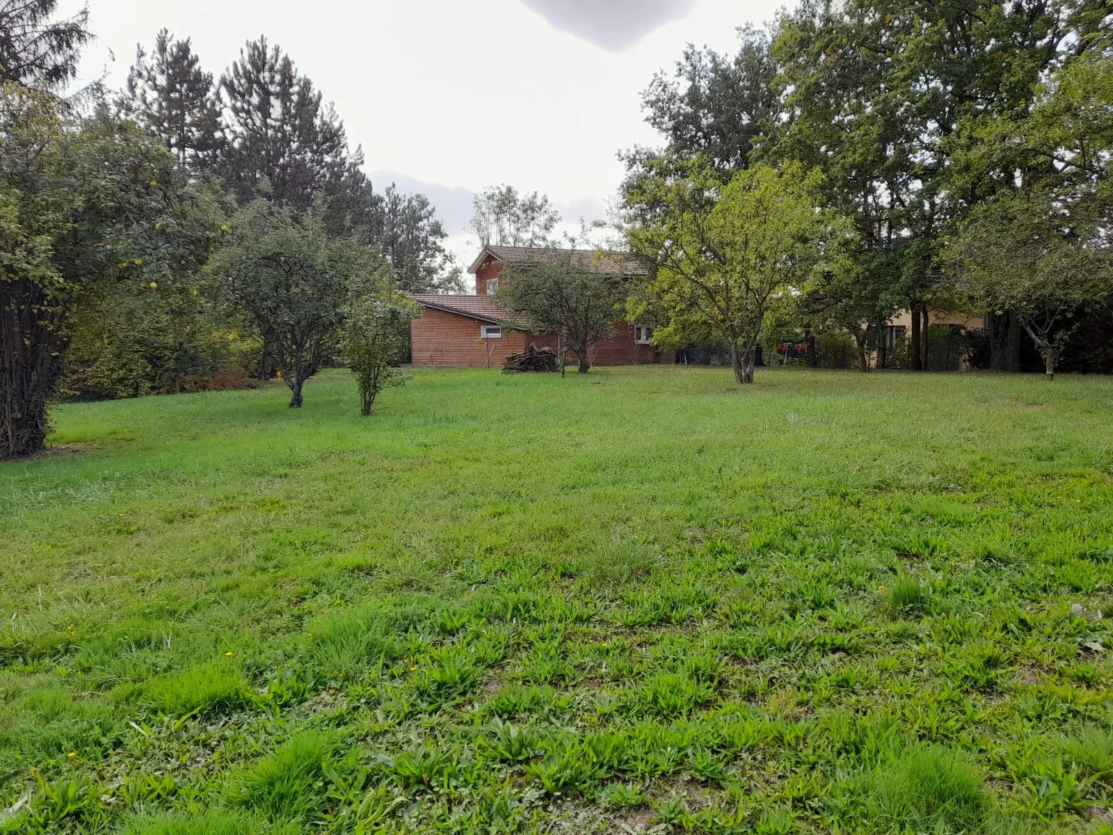 Terrain 1005 m2 Plat à Dardilly