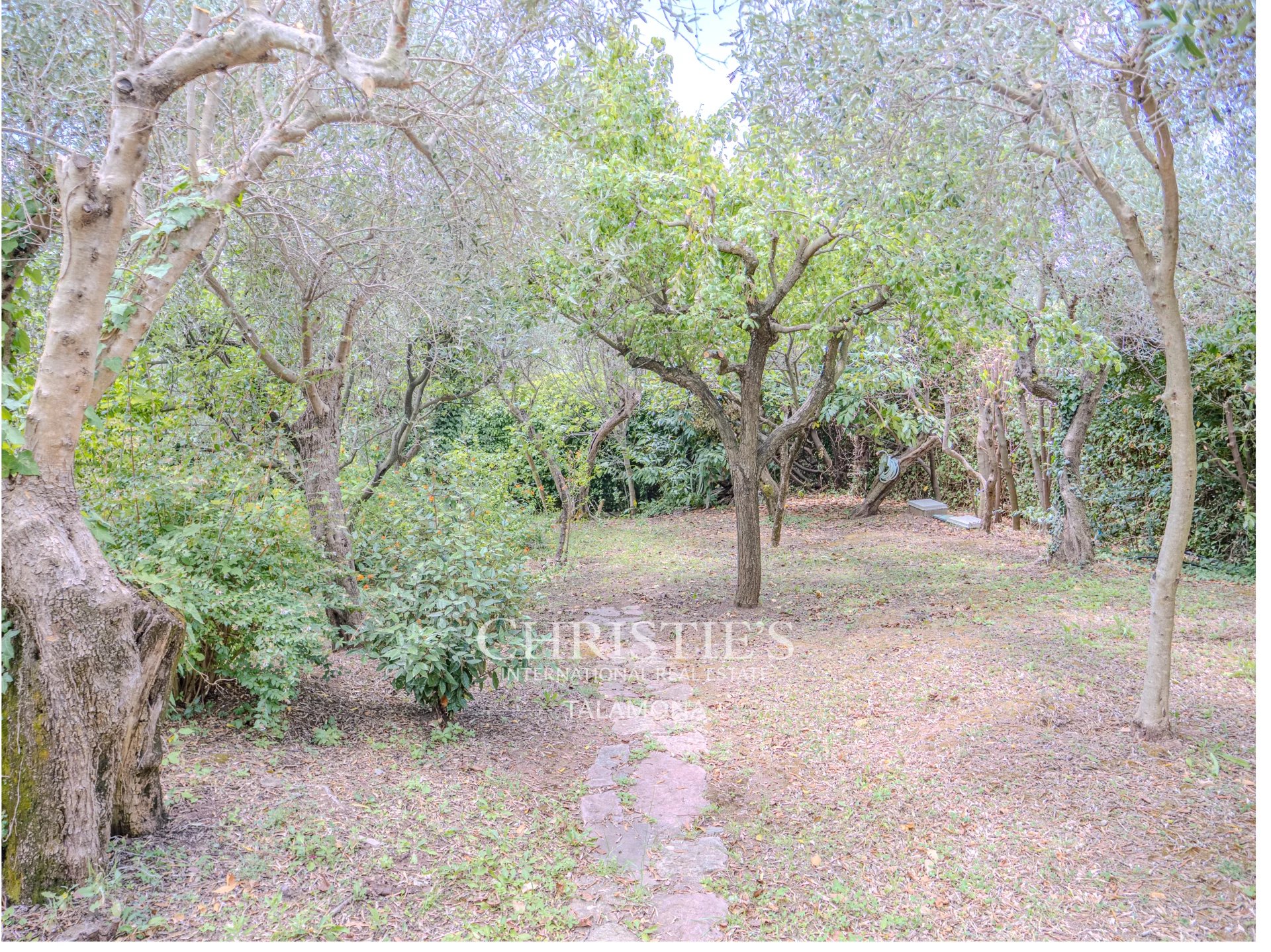 Villa/Townhouse's Image 41