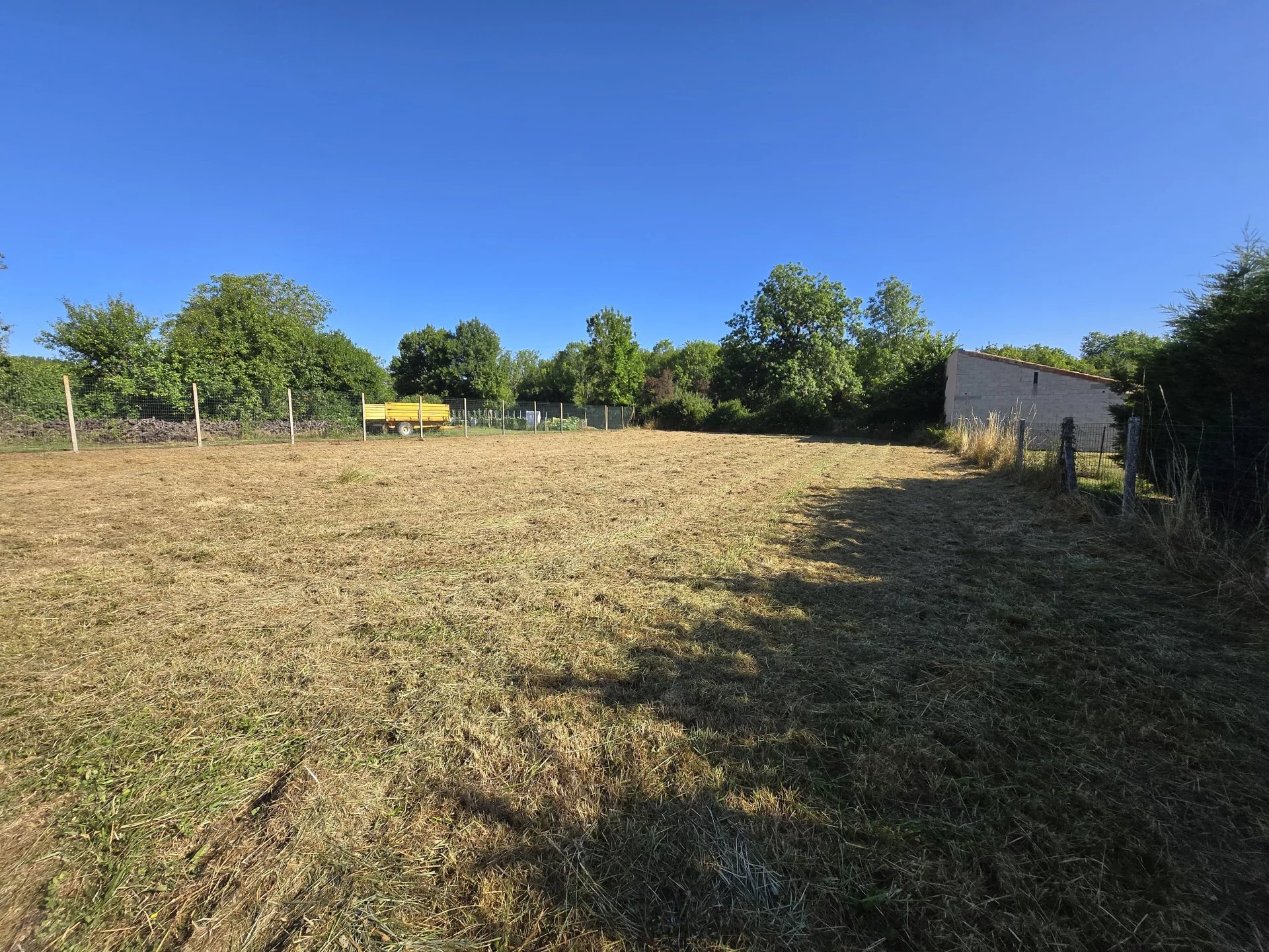 Agence immobilière de ROSER BEATRICE