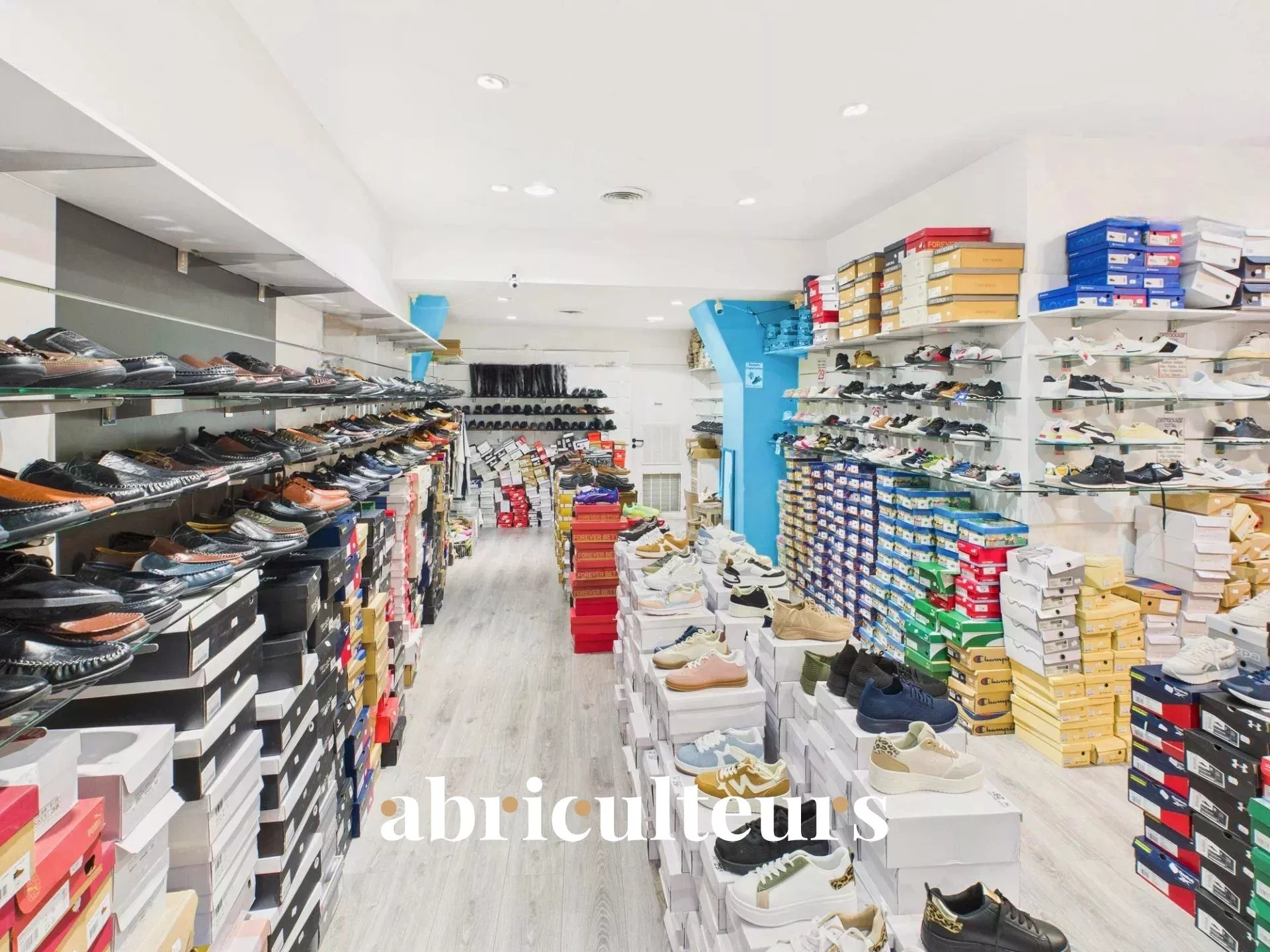 Agence immobilière de LES ABRICULTEURS