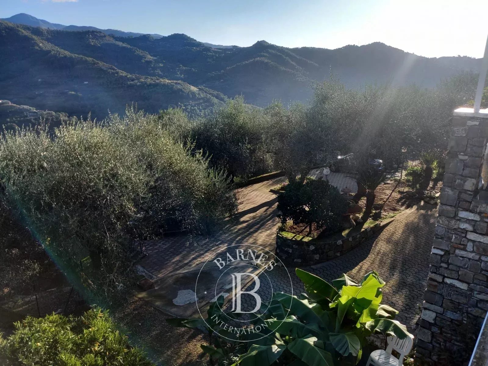 Villa Dolceacqua - picture 16