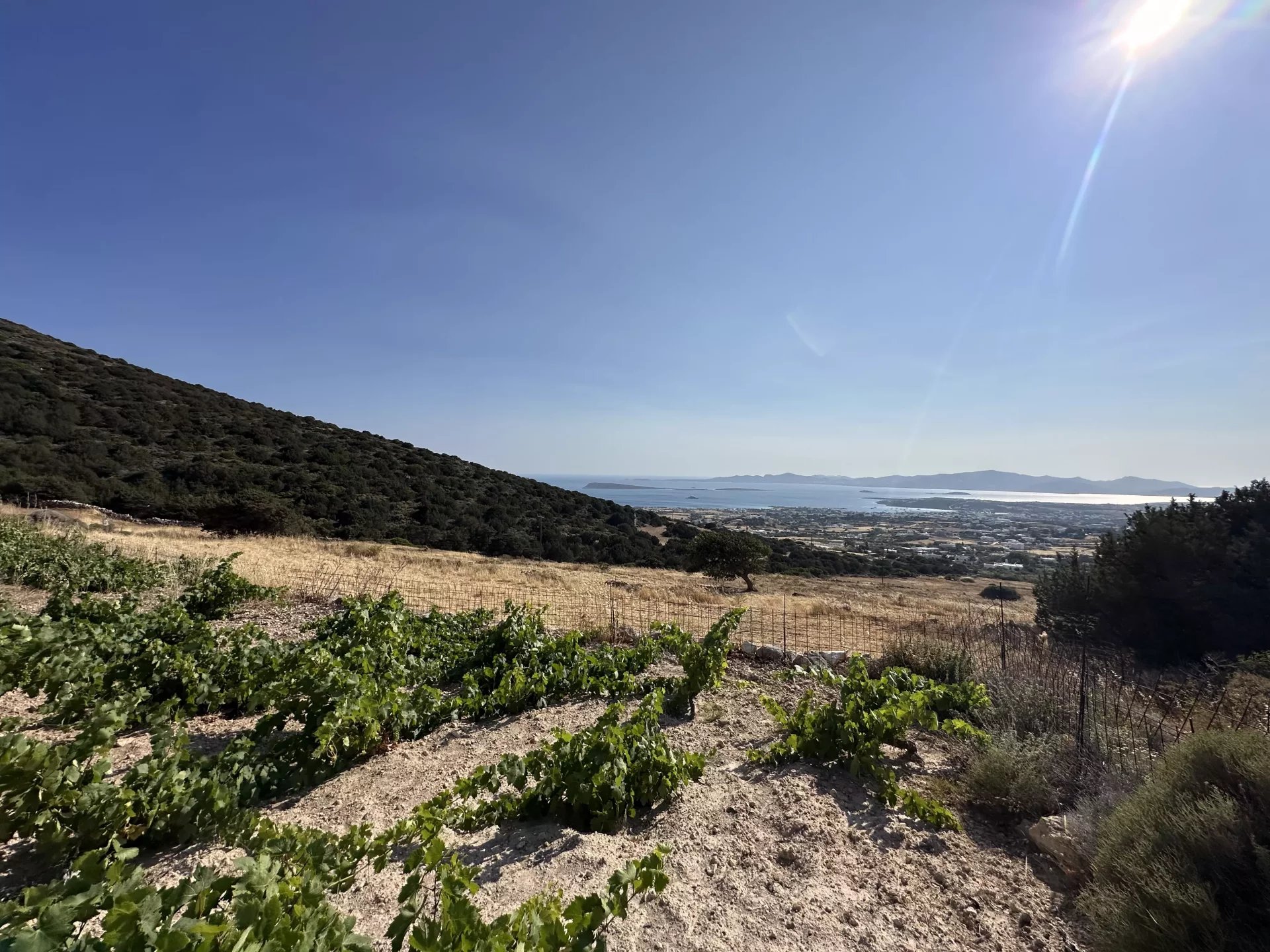 Image de la propriété 3