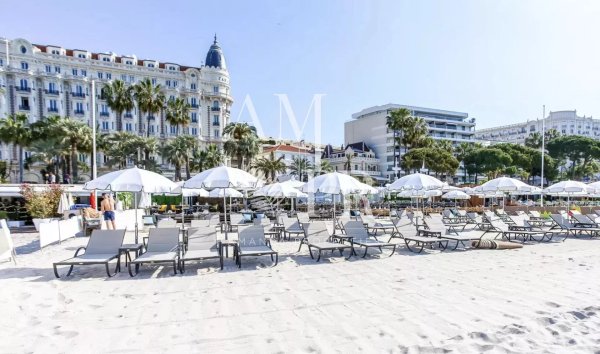 Luxurious Dual Villas in the Heart of Cannes’ Basse Californie — photo 2