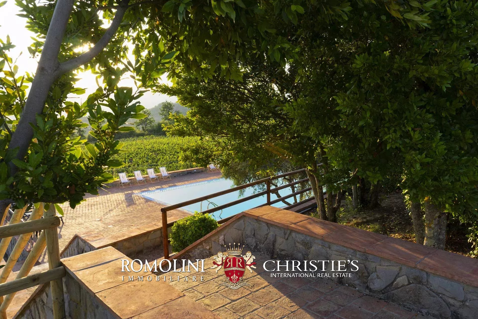 4 Bedroom Vineyard's Image 12