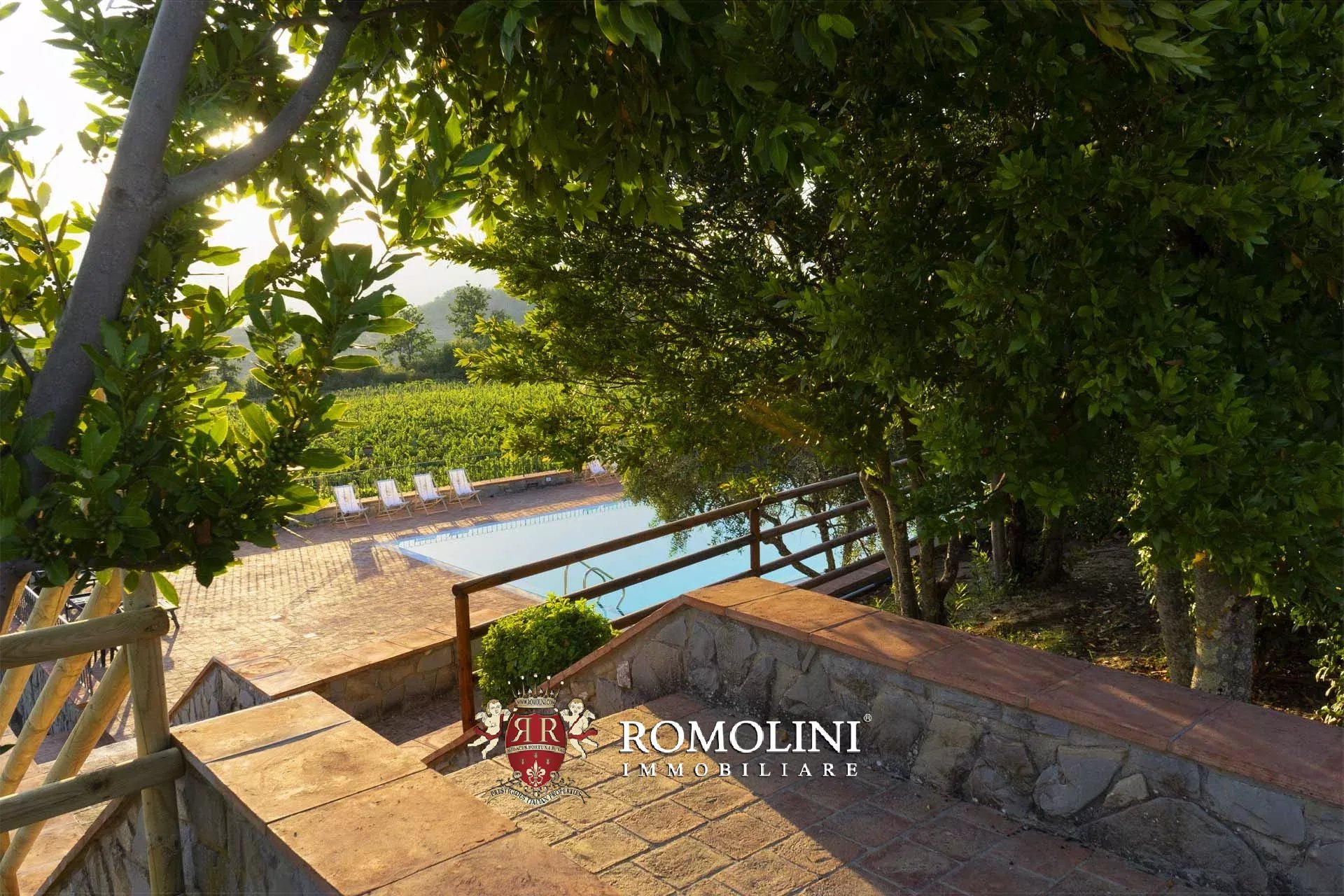 4 Bedroom Vineyard's Image 12